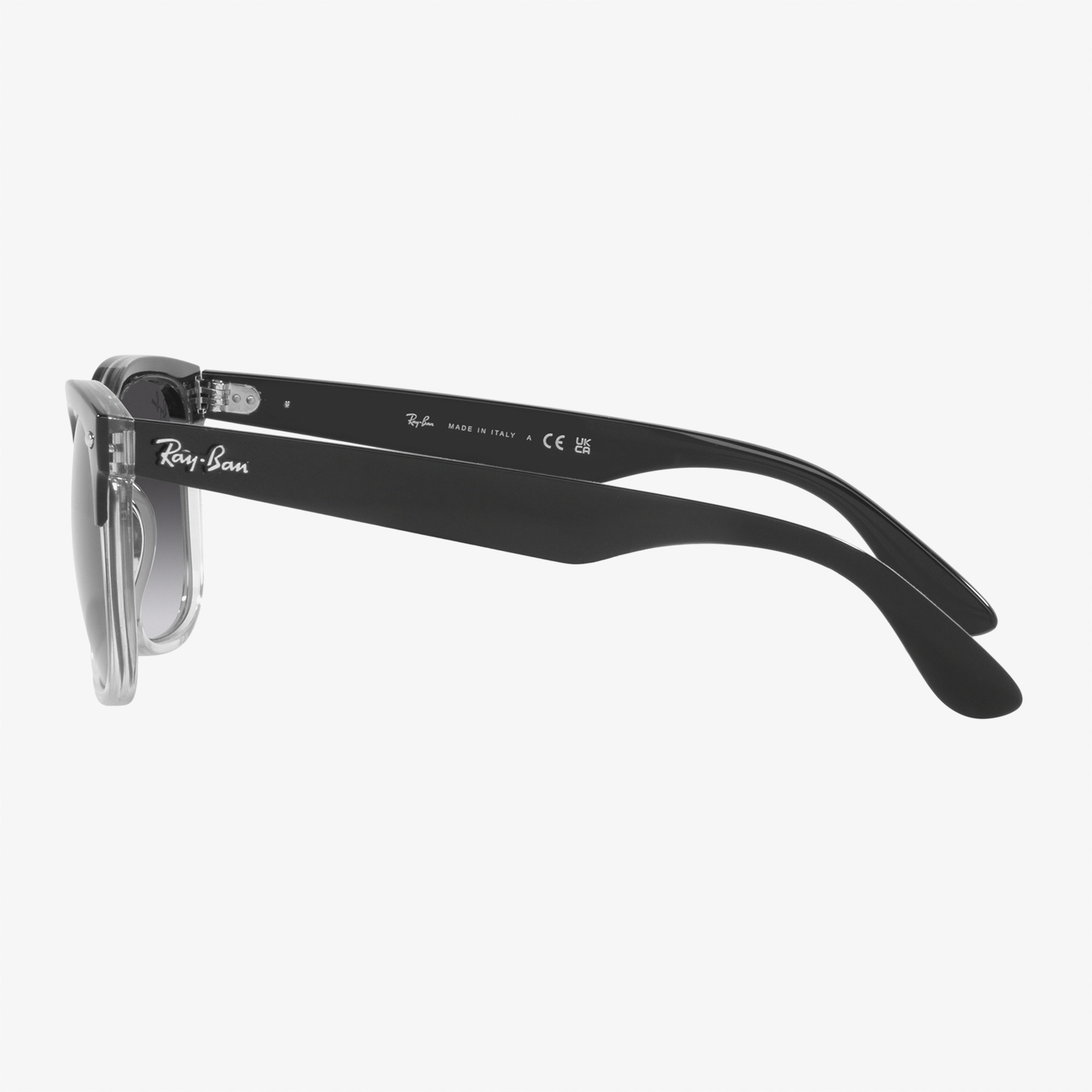 Ray-Ban injected Unisex Renkli Güneş Gözlüğü