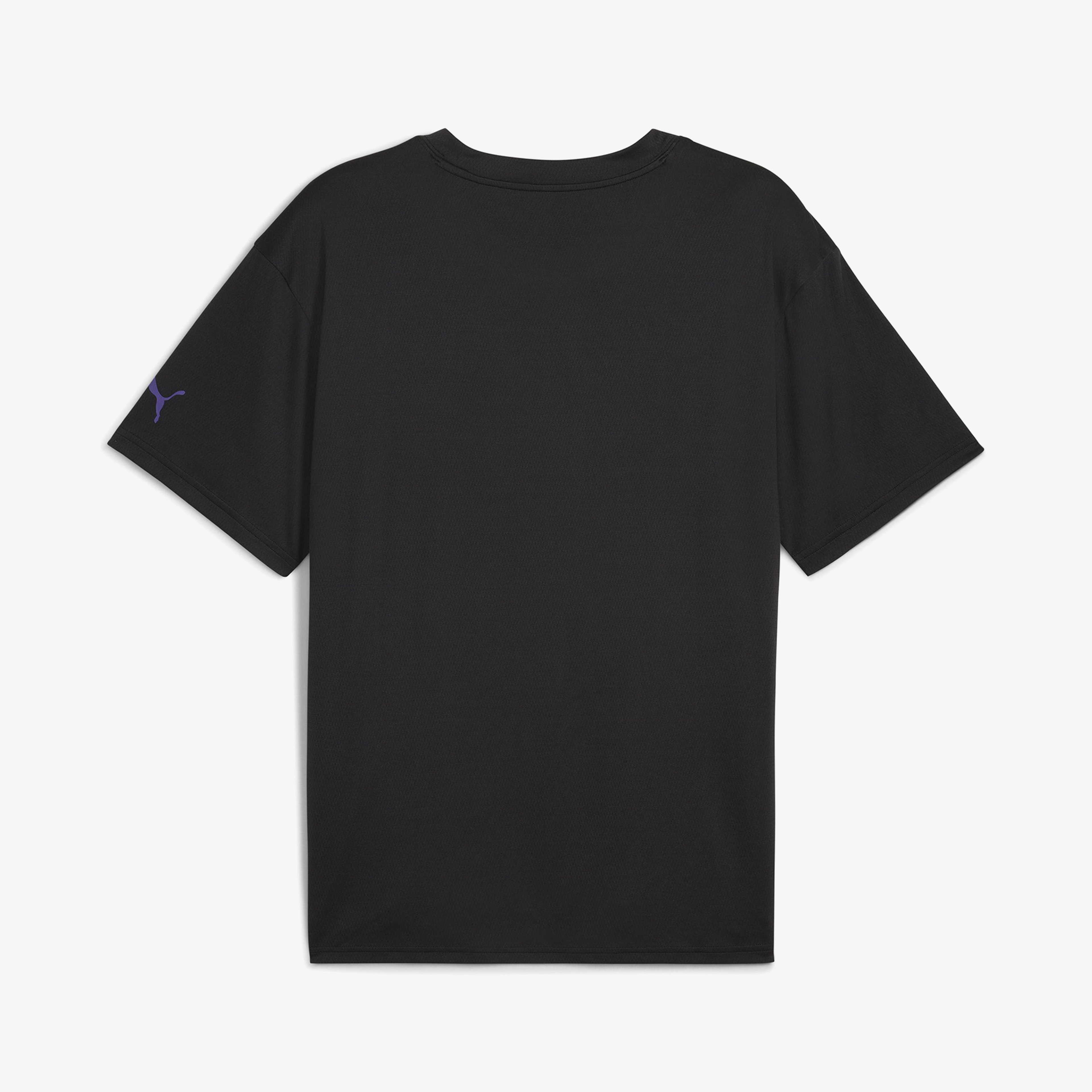 Puma Rival Rage 1 Erkek Siyah T-Shirt