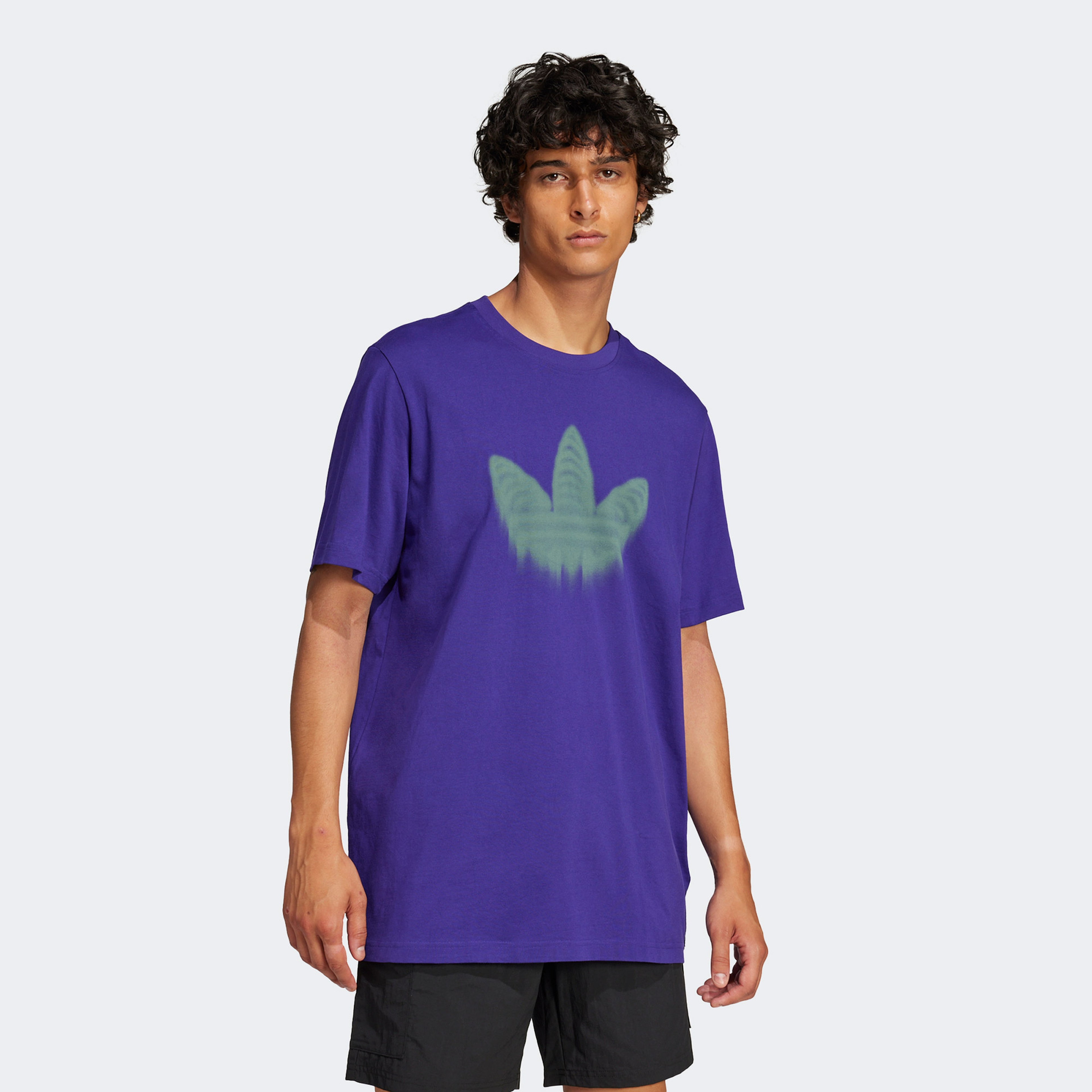 adidas Skeleton Tr Tee Erkek Mor T-Shirt