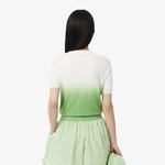 Kadın Classic Fit Kısa Kollu Bisiklet Yaka Renk Bloklu Yeşil Triko