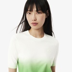 Kadın Classic Fit Kısa Kollu Bisiklet Yaka Renk Bloklu Yeşil Triko