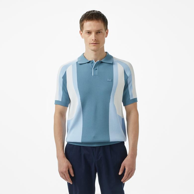 Erkek Regular Fit Kısa Kollu Polo Yaka Renk Bloklu Mavi Triko