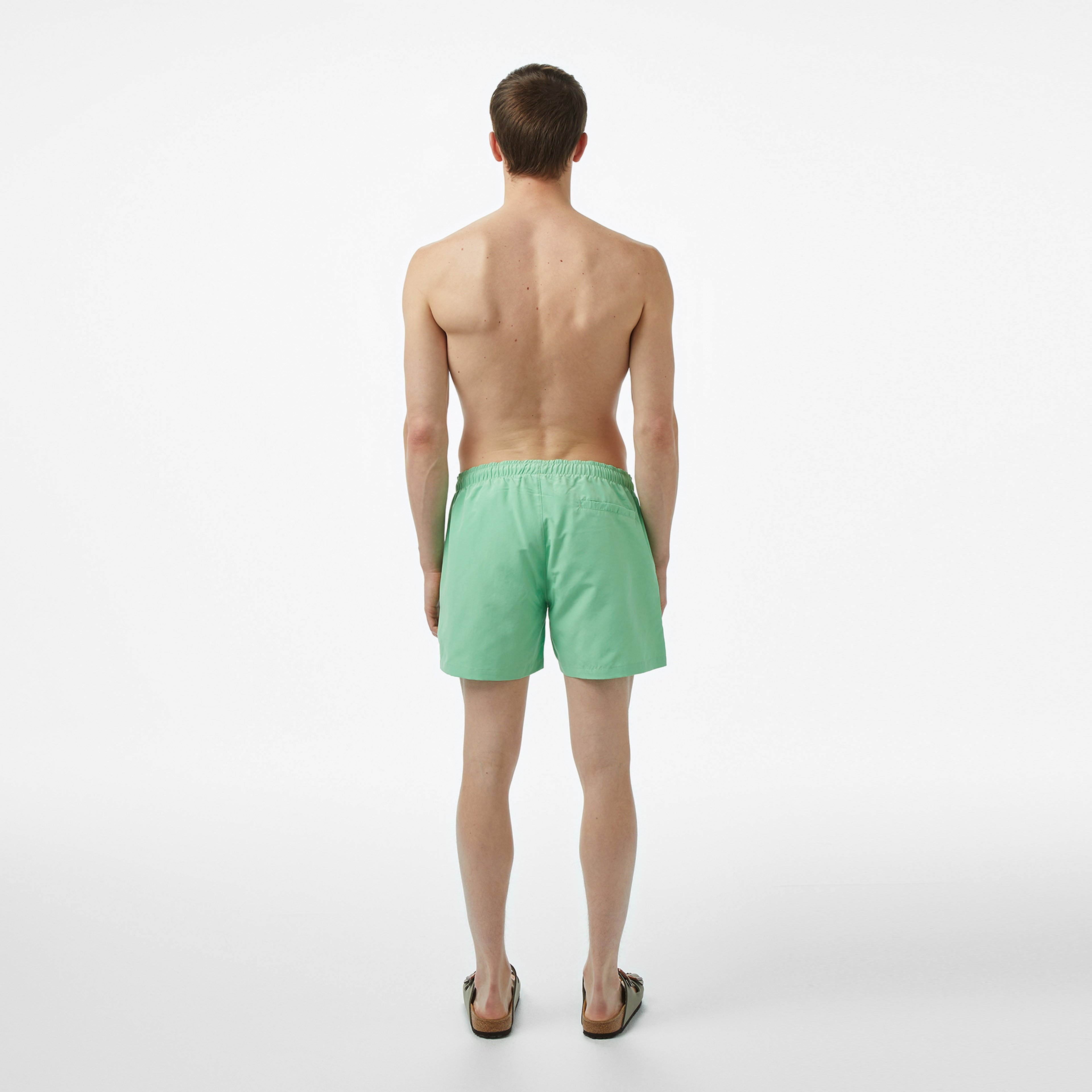 Lacoste Regular Fit Erkek Yeşil Mayoşort