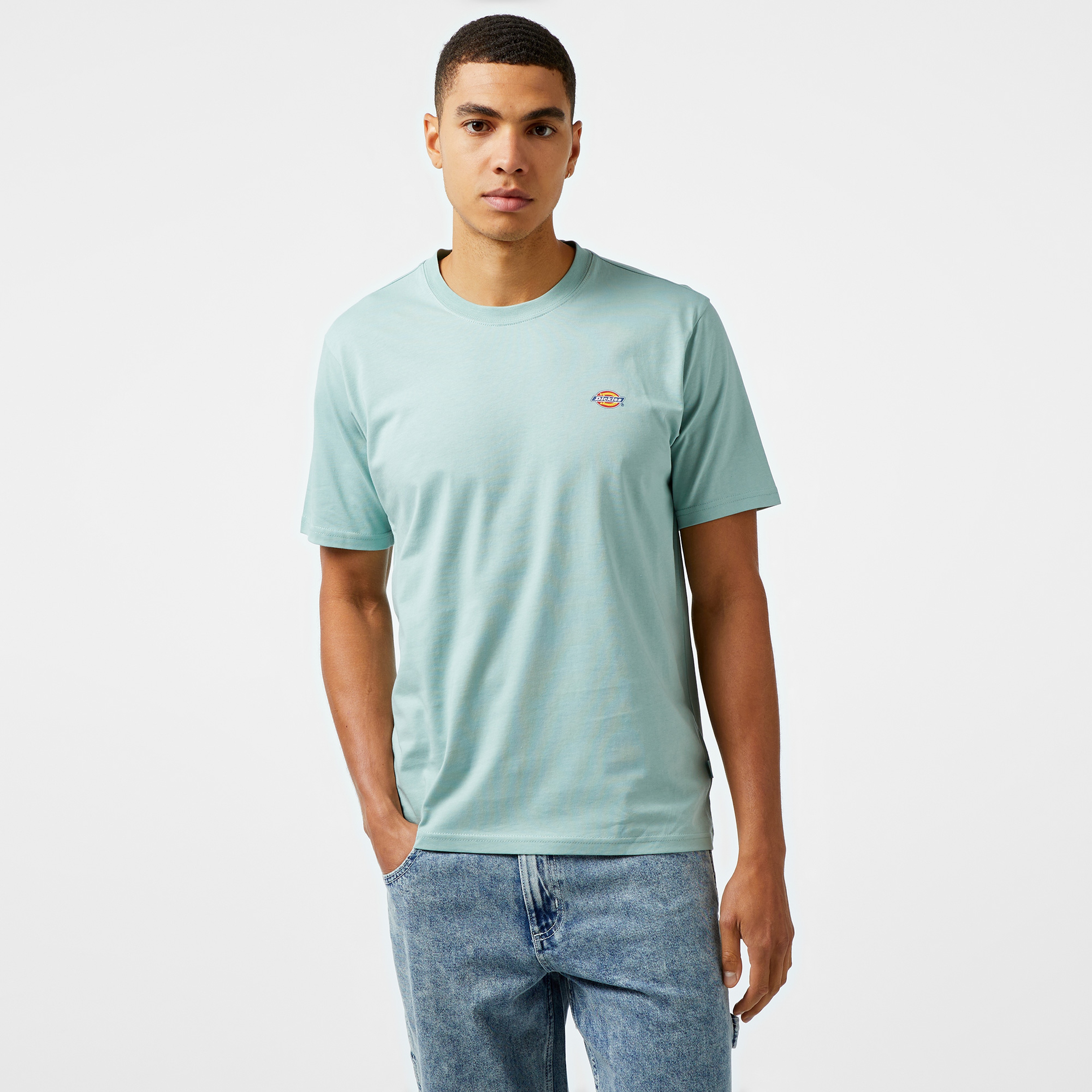 Dickies Kısa Kollu Mapleton Erkek Mavi T-Shirt