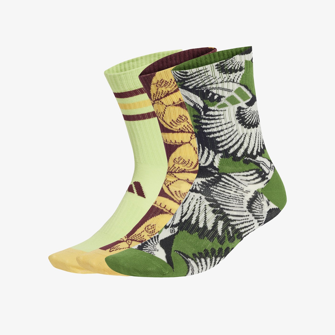 product_detail_image