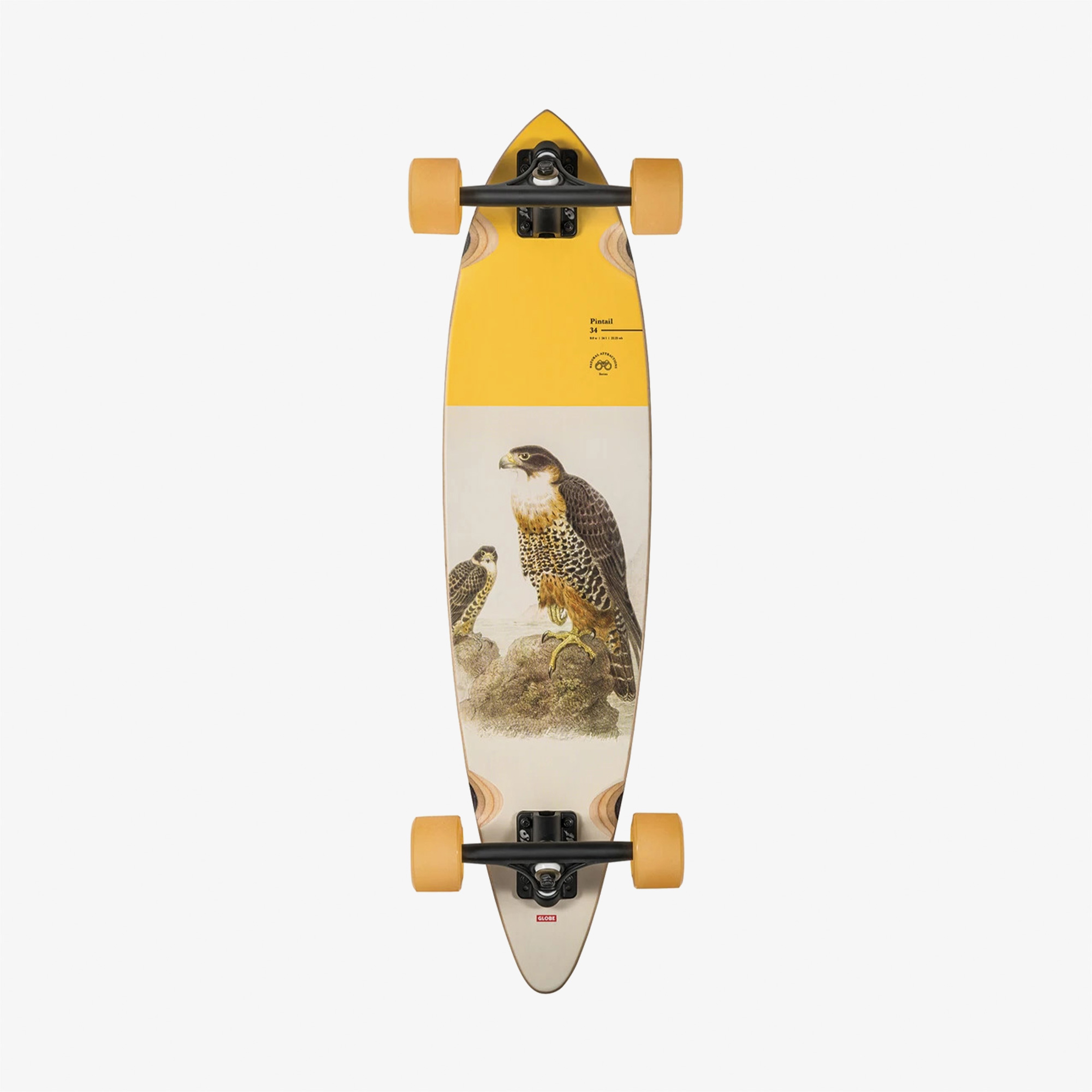 Globe Pintail 34 The Sentinel Complete Skateboard Sarı Kaykay