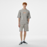 Converse Baskılı Erkek Oversize Fit Gri Şort