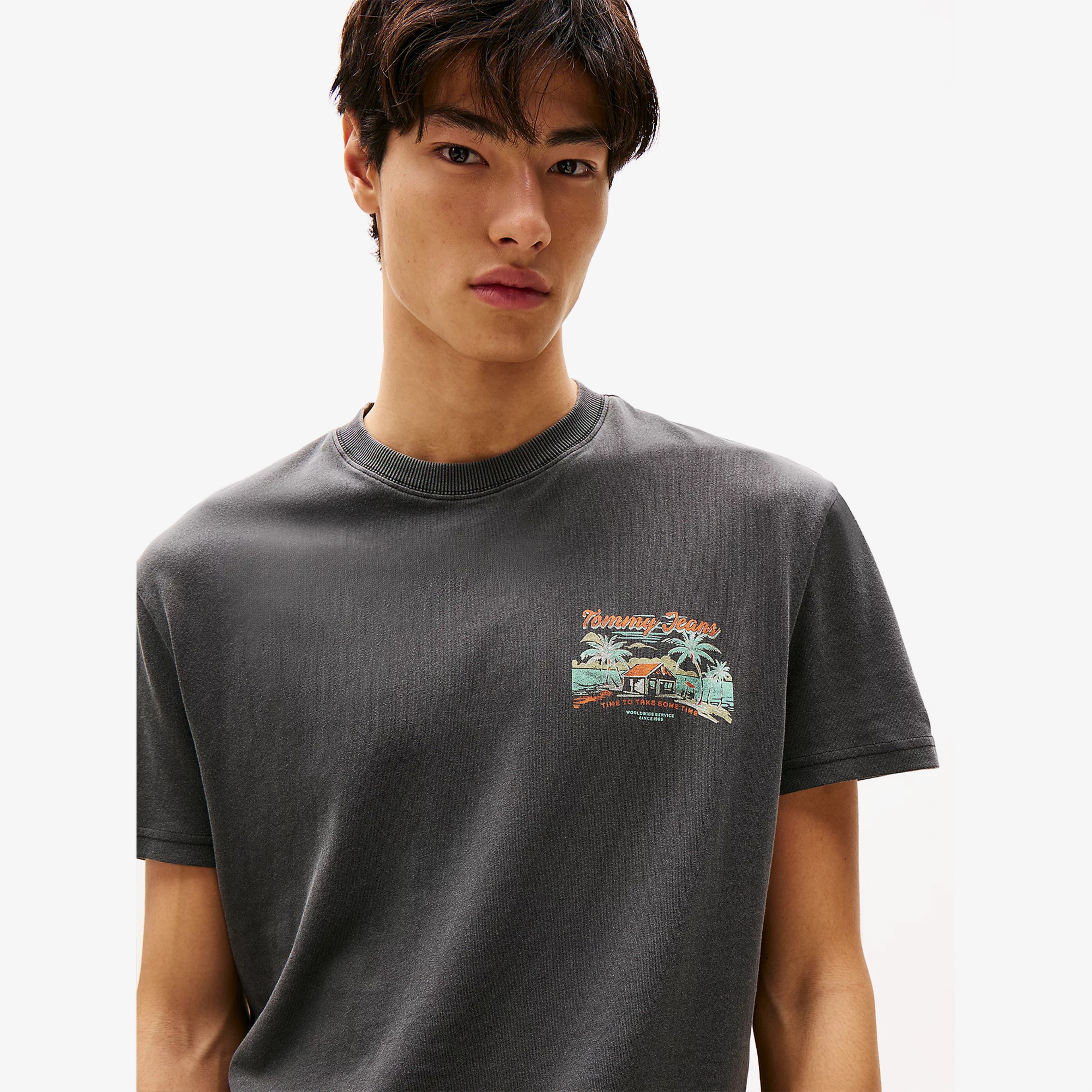 Tommy Jeans Regular Cabana Erkek Gri T-Shirt
