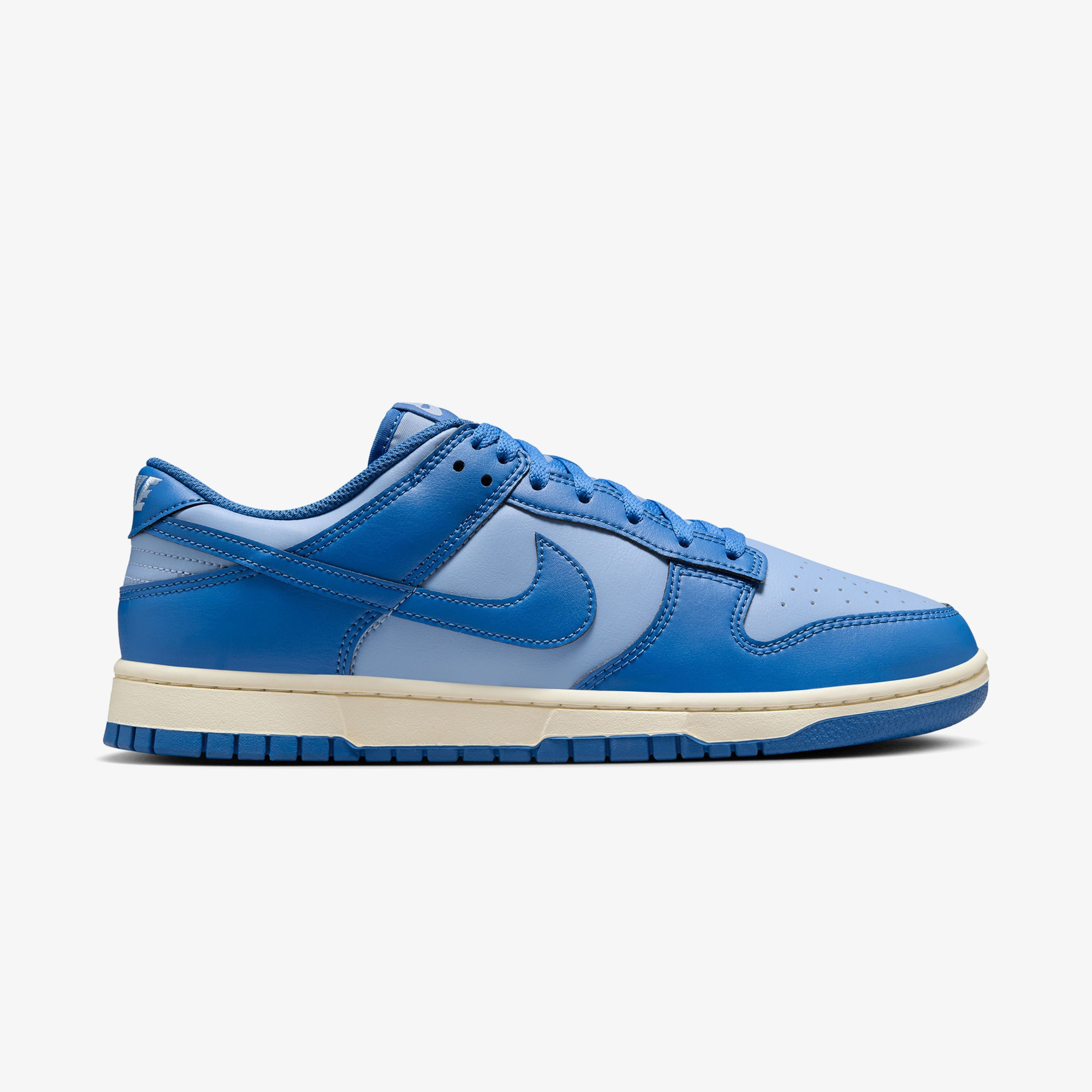 Nike Dunk Low Retro Kadın Mavi Sneaker