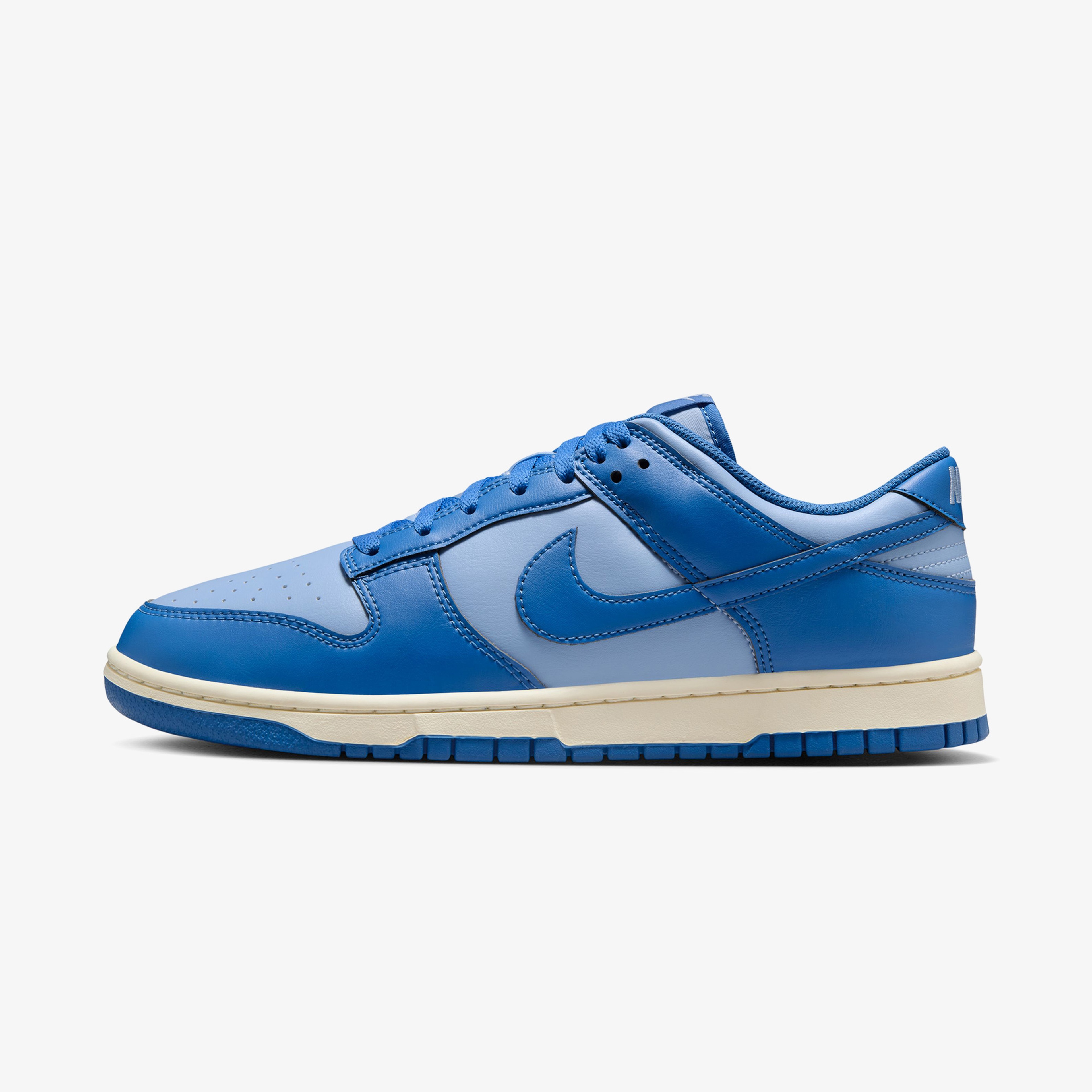 Nike Dunk Low Retro Kadın Mavi Sneaker