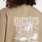 Dickies Bricklane Erkek Beyaz T-Shirt
