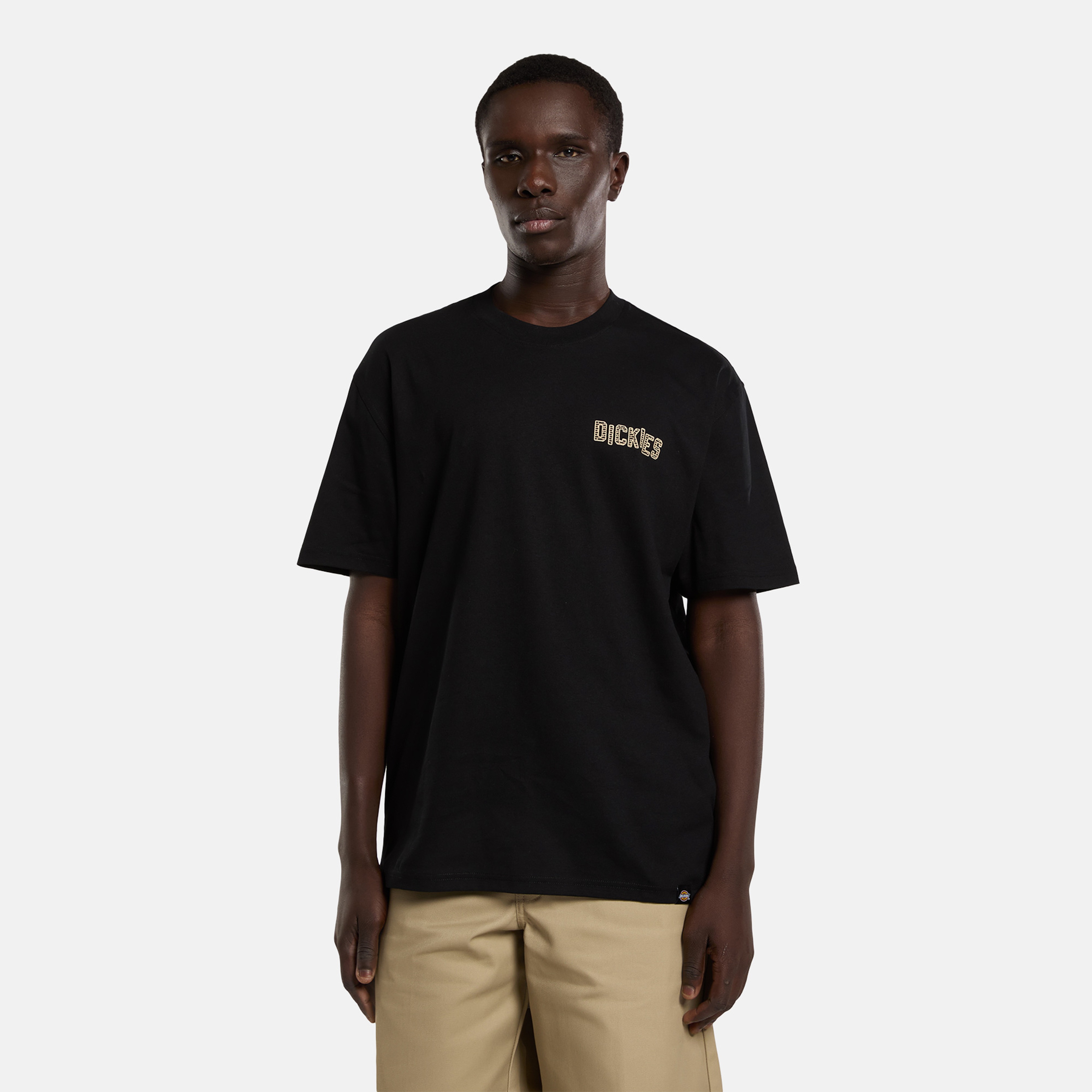 Dickies Bricklane Erkek Siyah T-Shirt