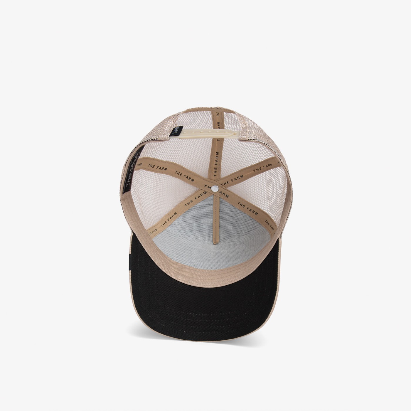 product_detail_image