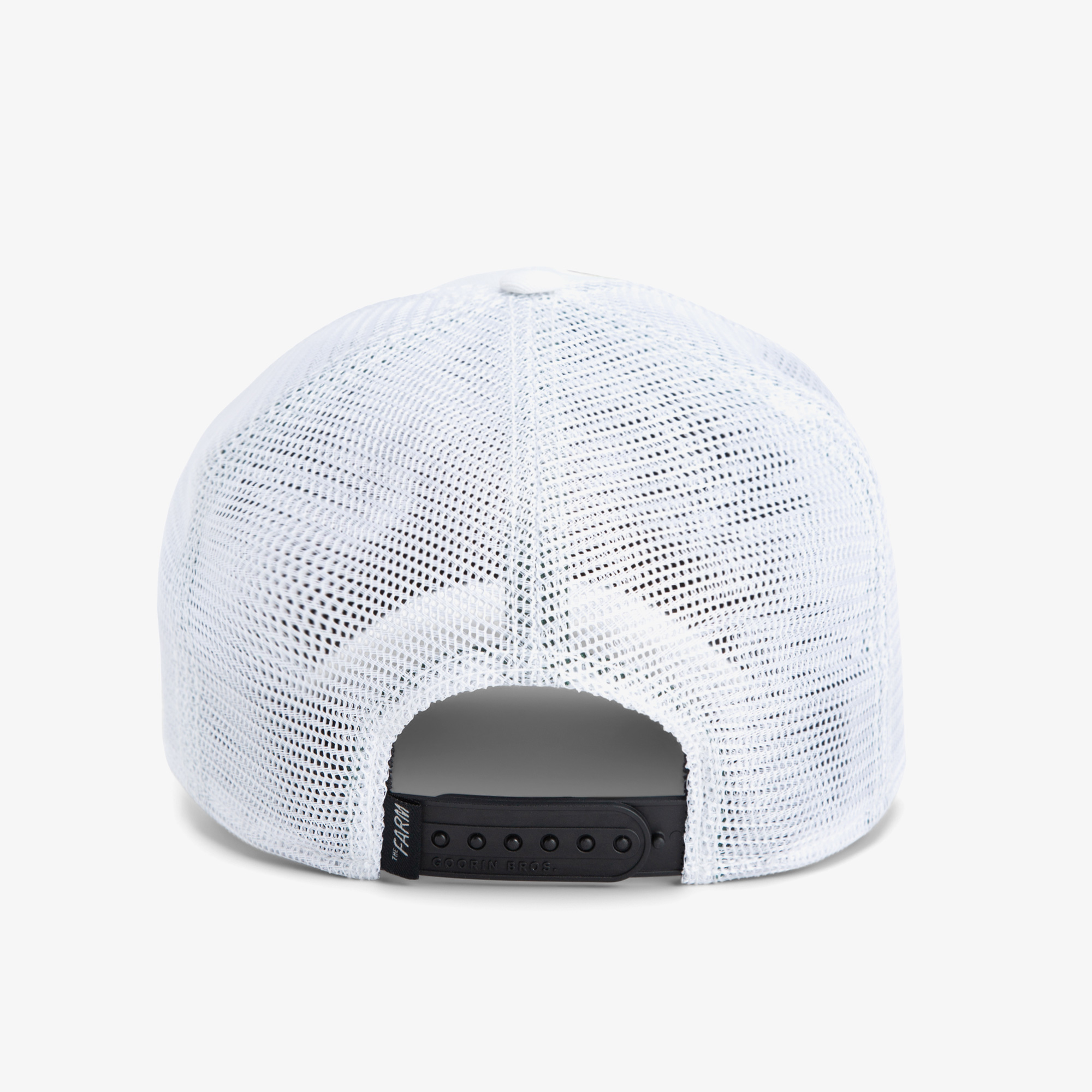 product_detail_image