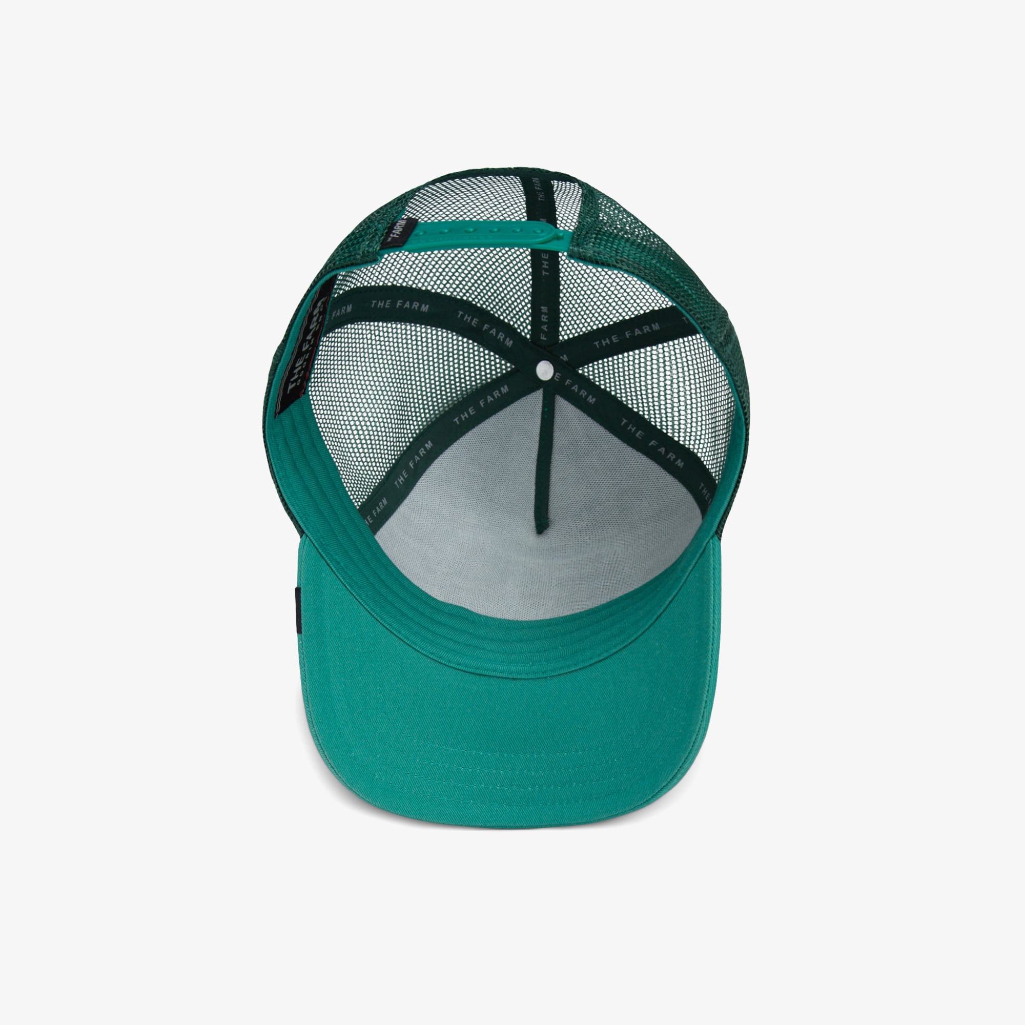 product_detail_image