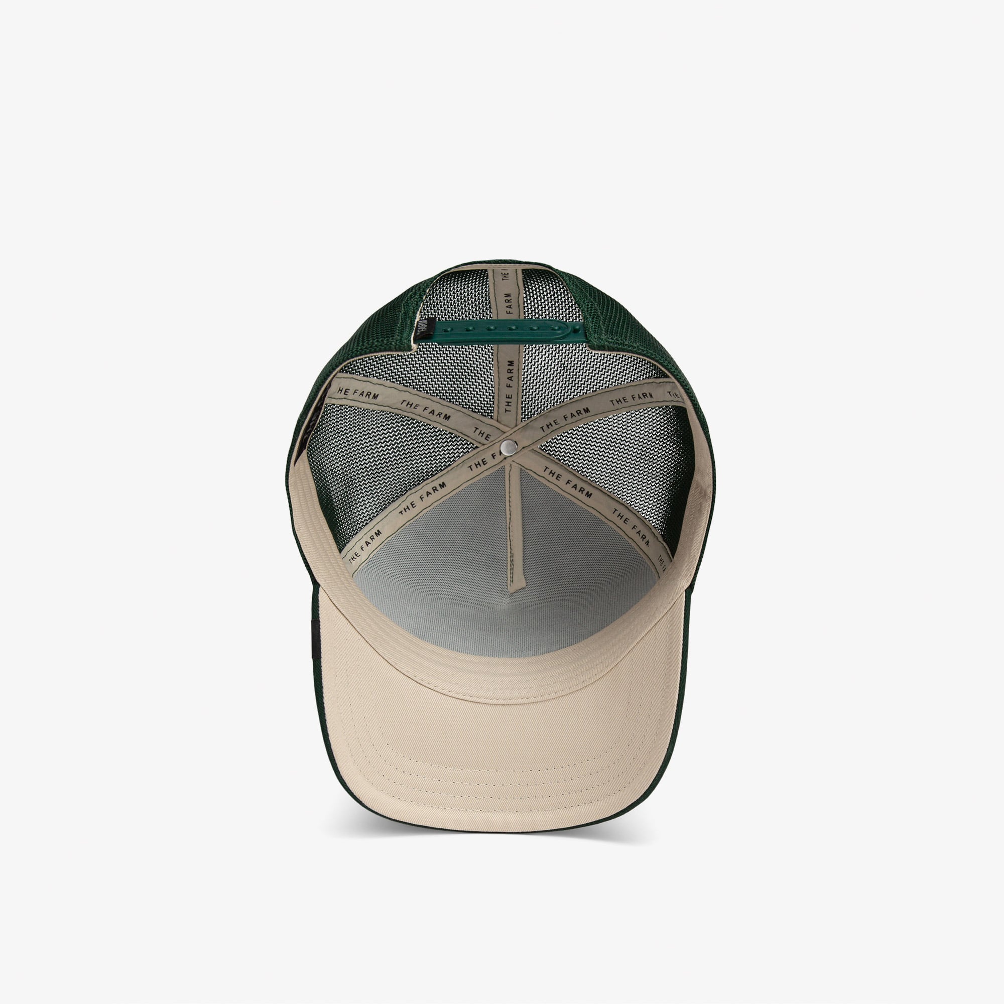 product_detail_image