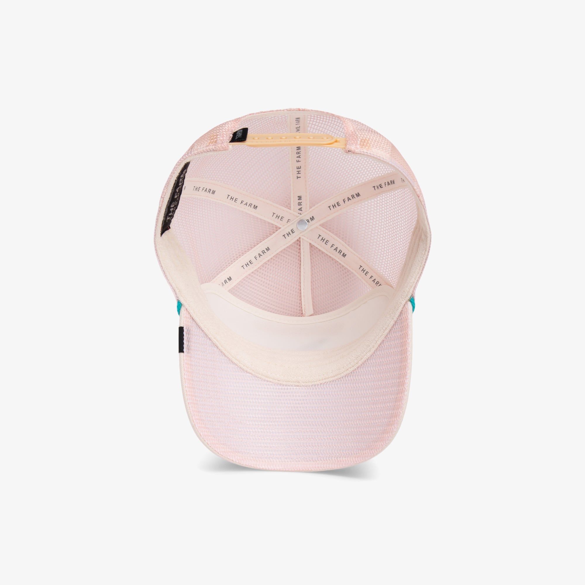 product_detail_image