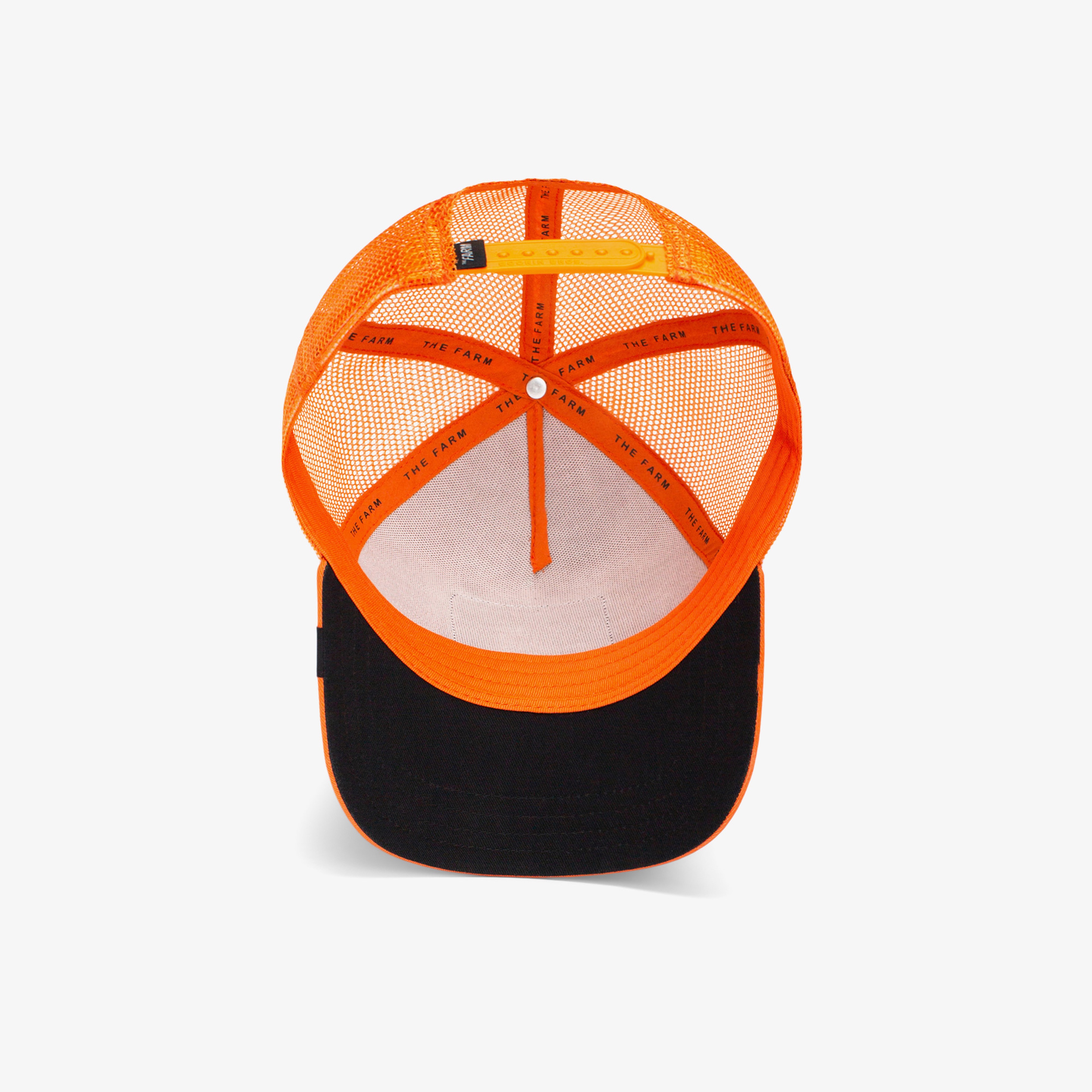 Goorin Bros The Dog Pitbull Unisex Turuncu Şapka