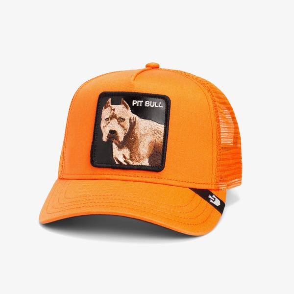 Goorin Bros The Dog Pitbull Unisex Turuncu Şapka