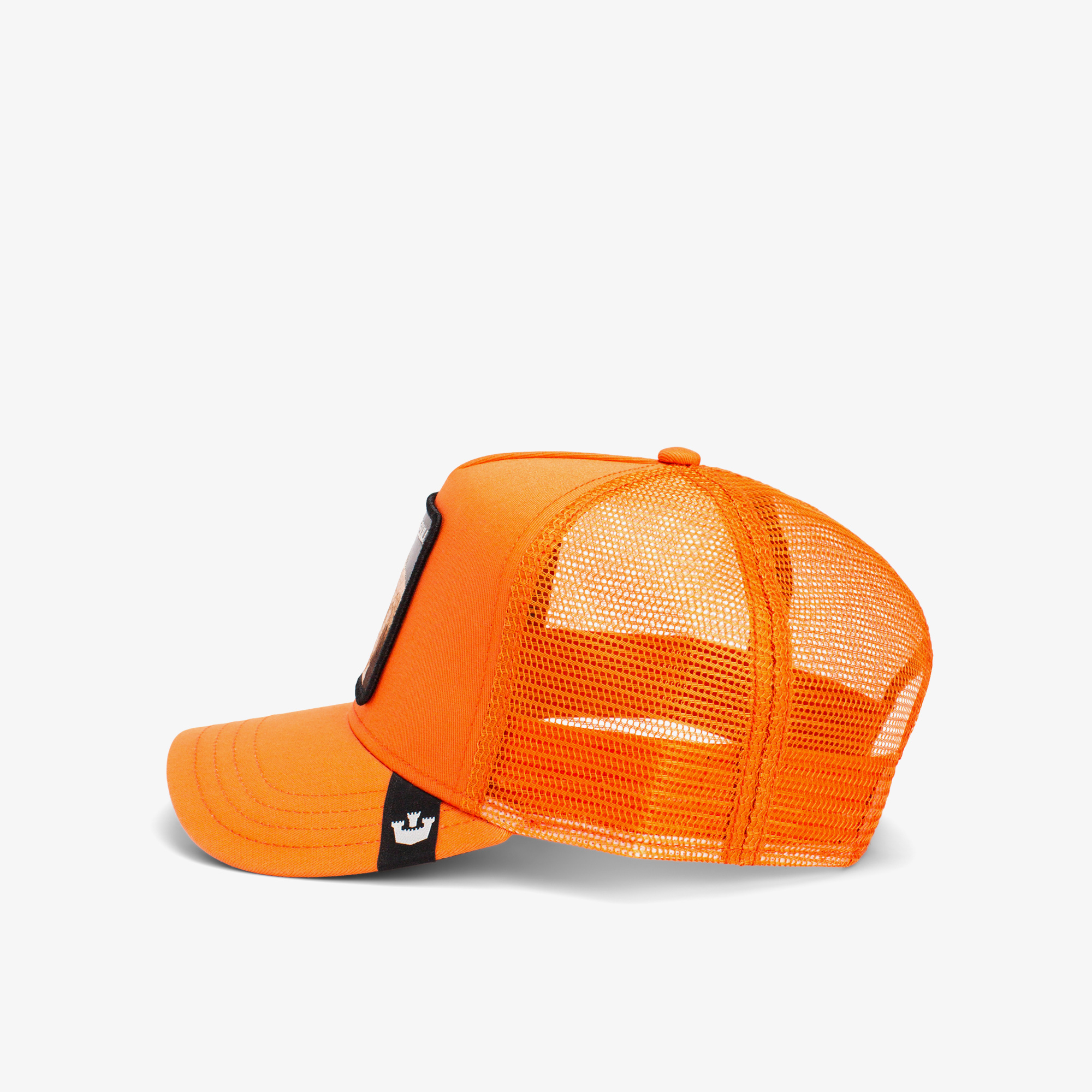 Goorin Bros The Dog Pitbull Unisex Turuncu Şapka