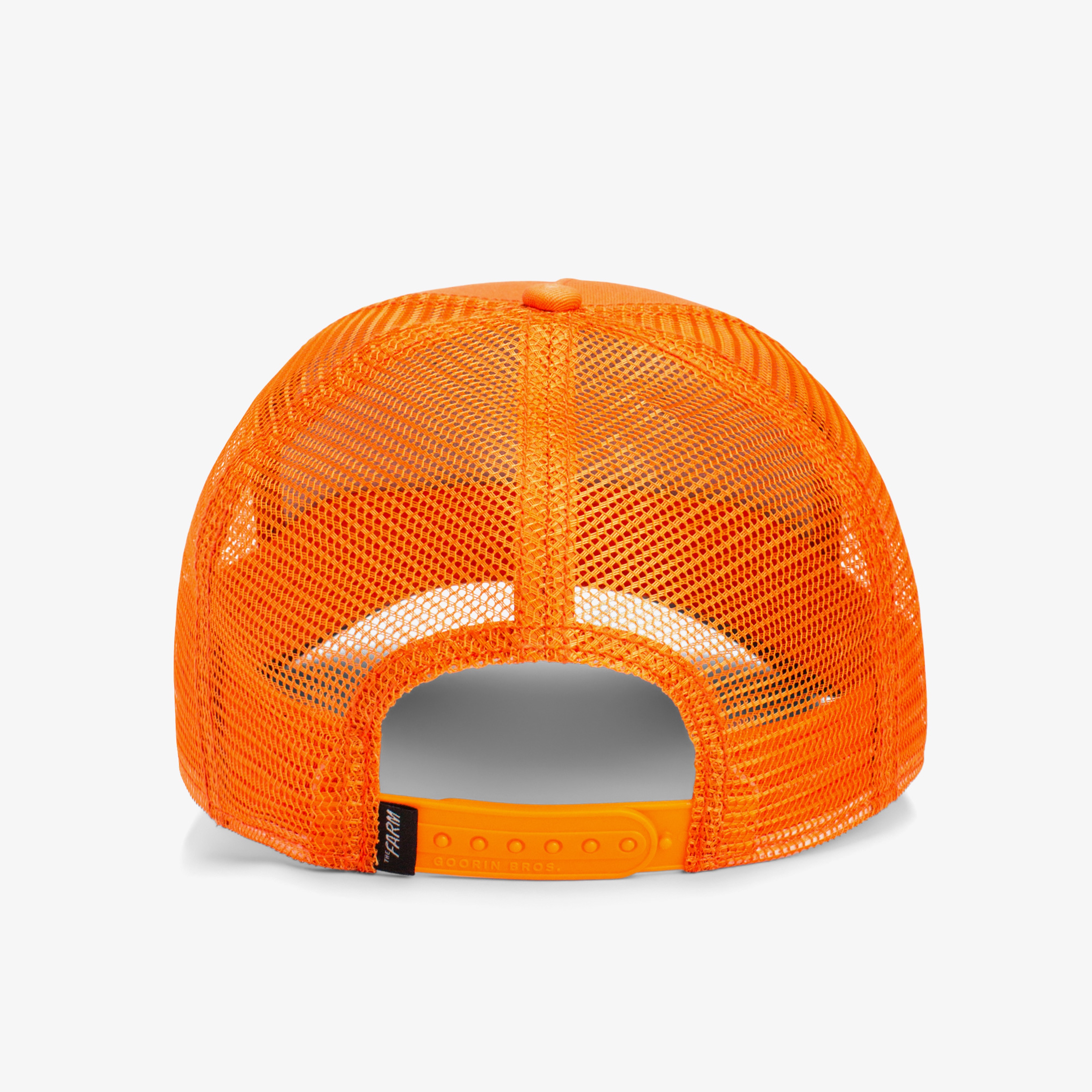 Goorin Bros The Dog Pitbull Unisex Turuncu Şapka