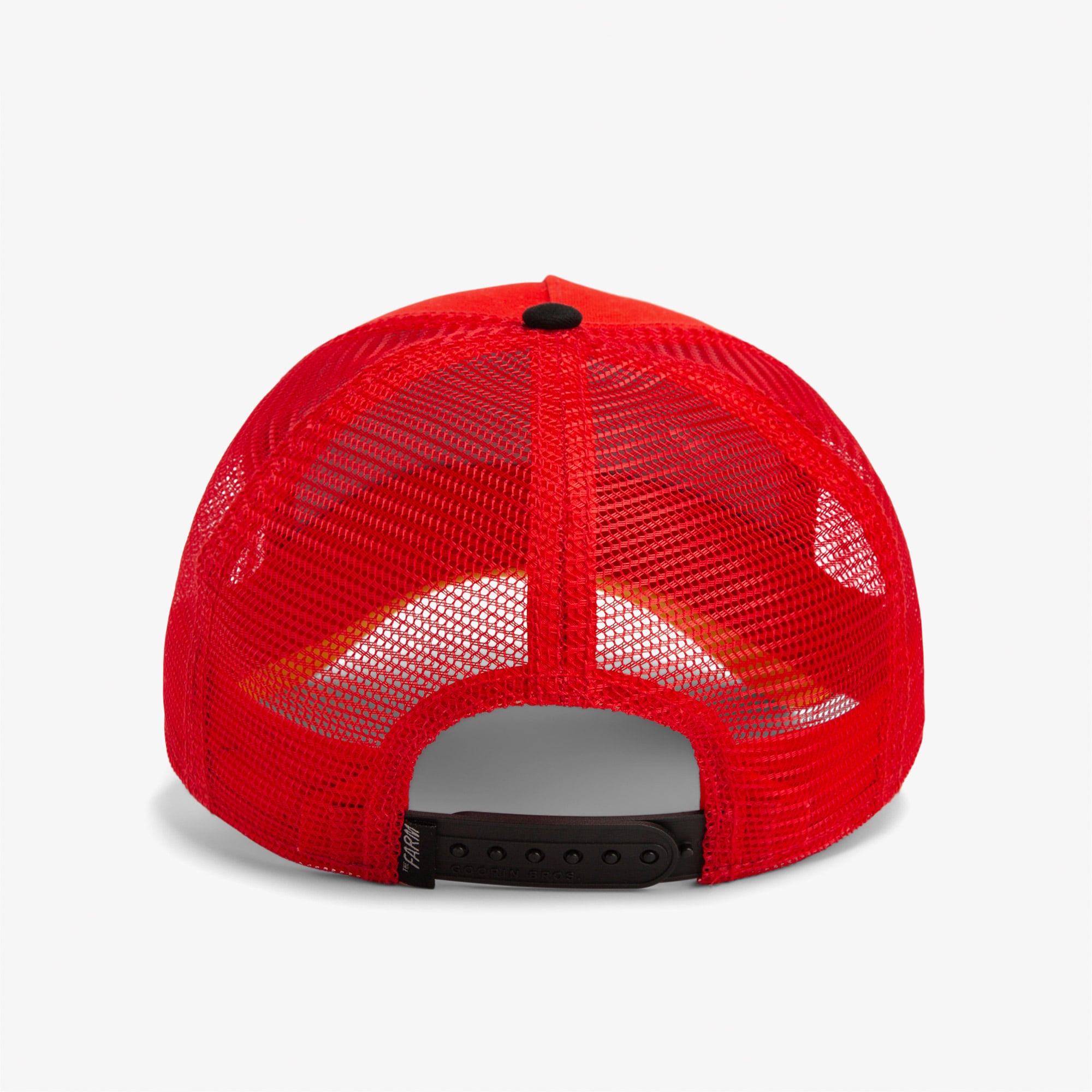 product_detail_image