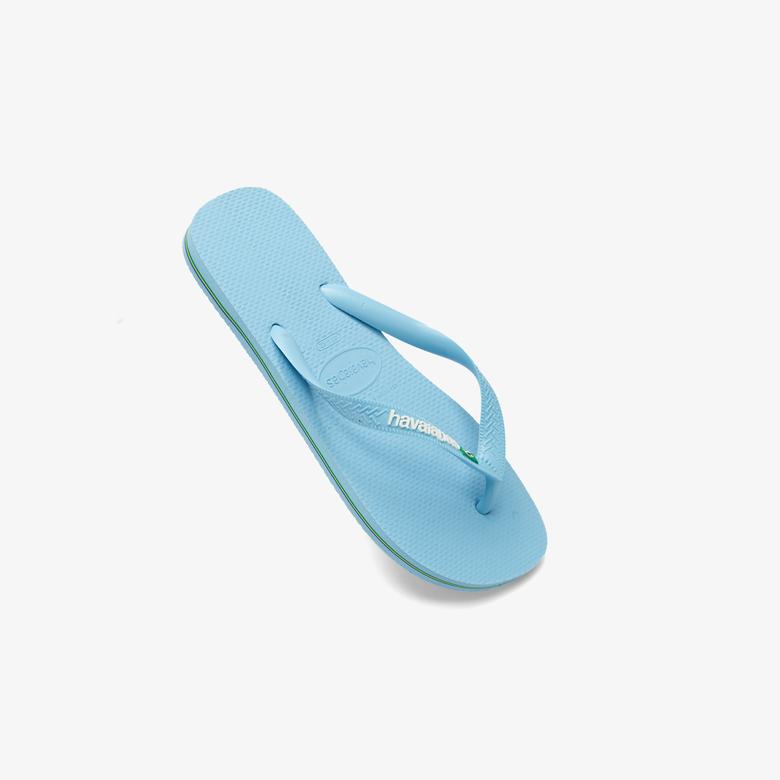 Havaianas Brazil Logo Unisex Mavi Terlik
