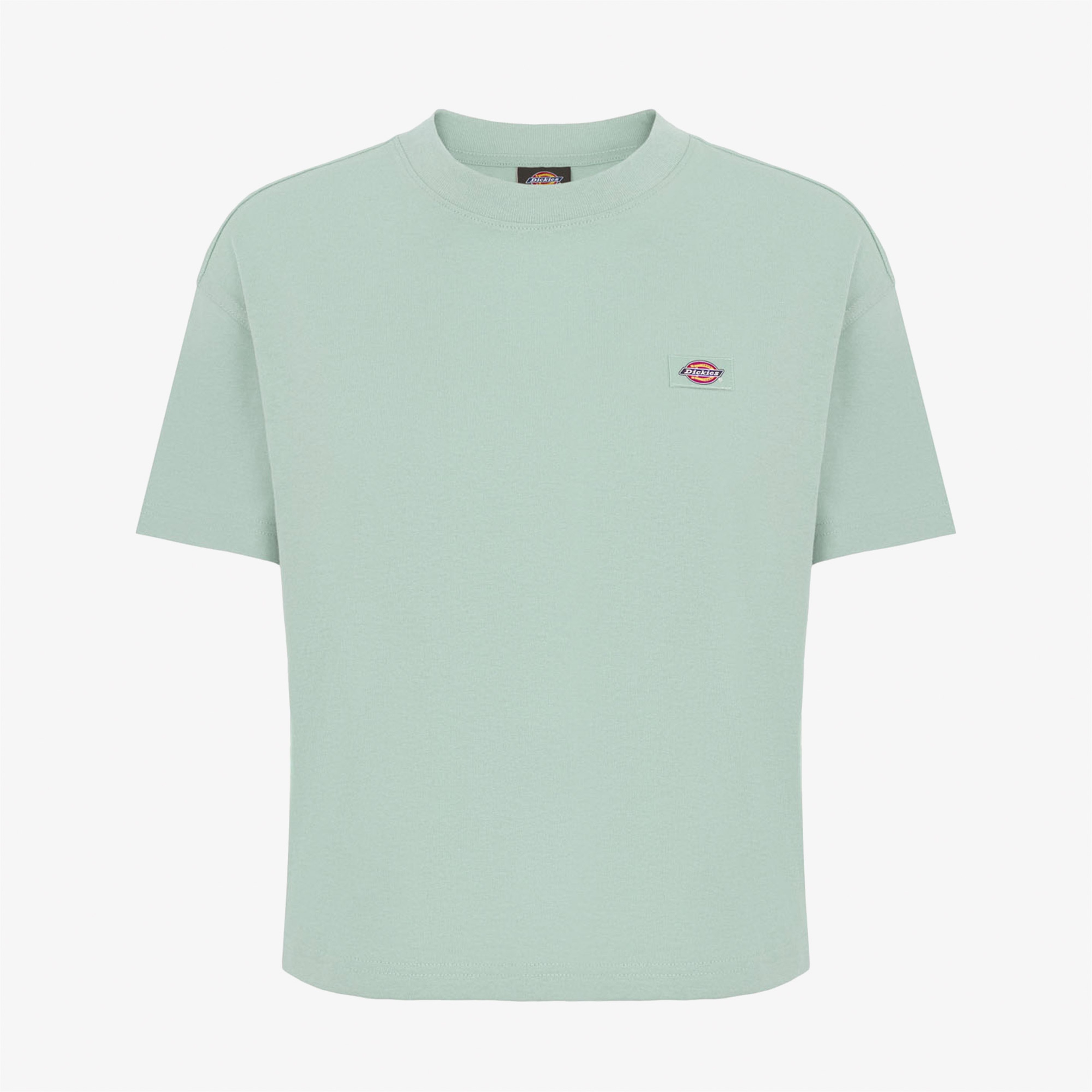 Dickies Oakport Lightweight Cropped Kadın Mavi T-Shirt