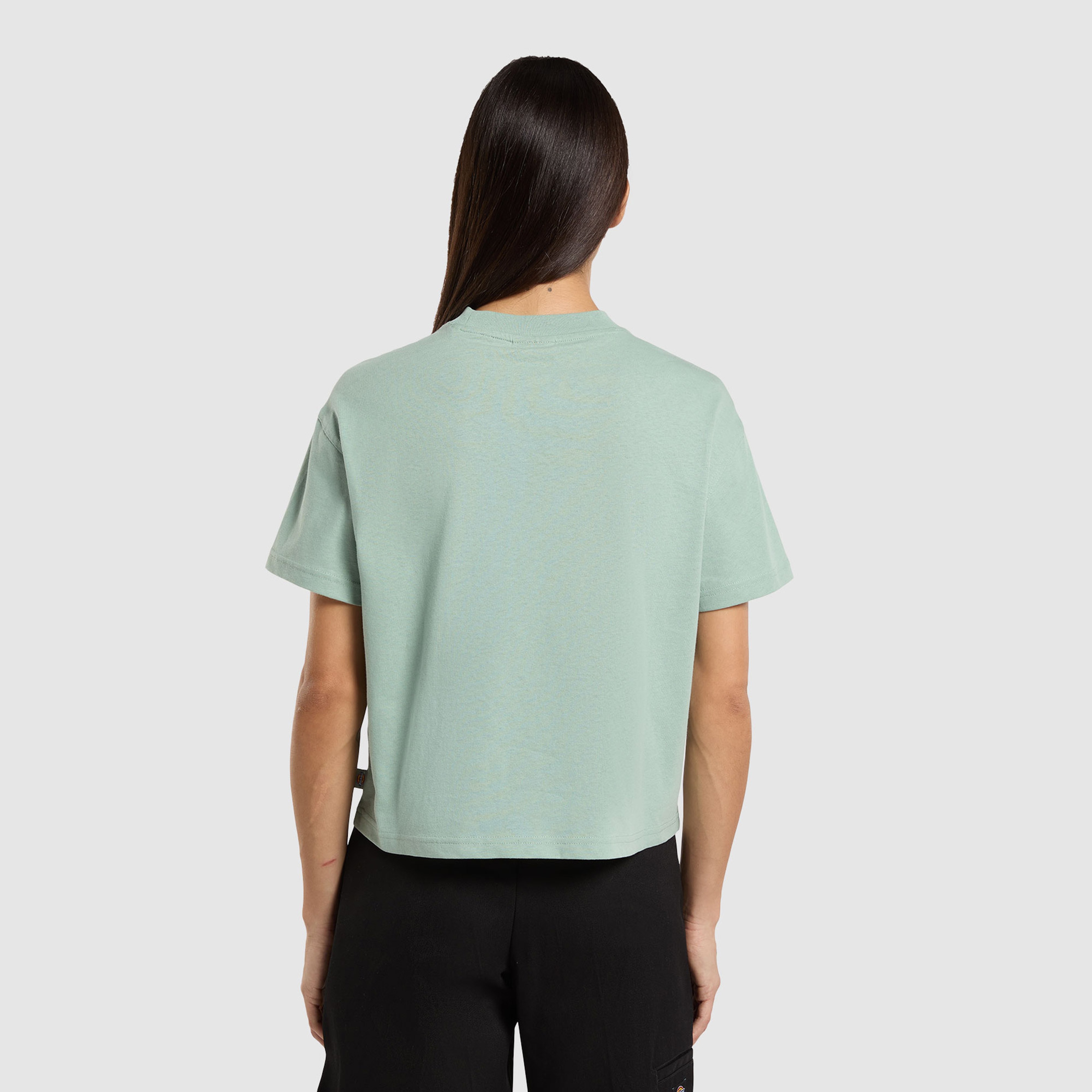 Dickies Oakport Lightweight Cropped Kadın Mavi T-Shirt
