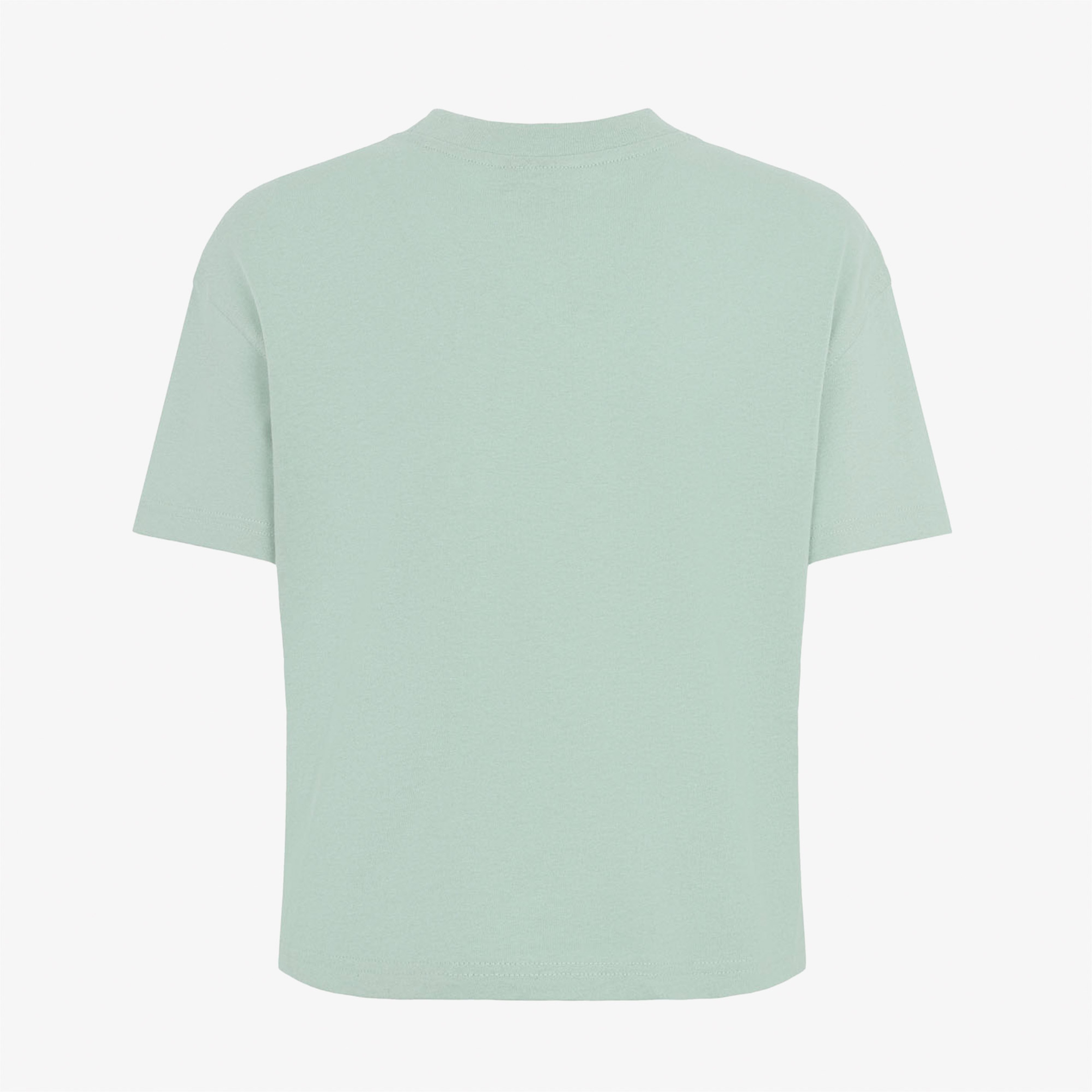 Dickies Oakport Lightweight Cropped Kadın Mavi T-Shirt