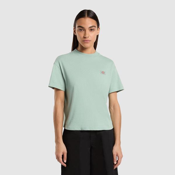 Dickies Oakport Lightweight Cropped Kadın Mavi T-Shirt