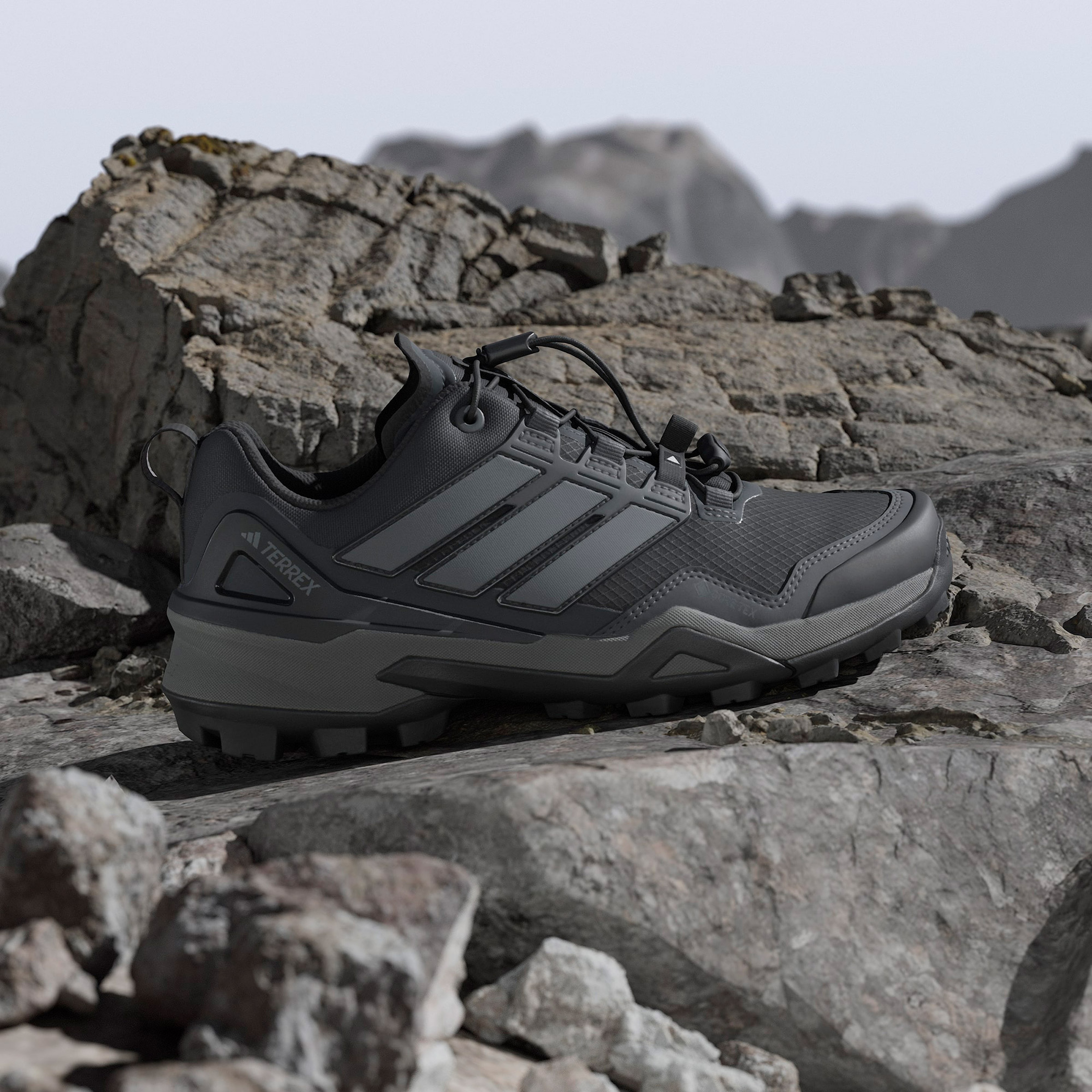 adidas Terrex Sychaser Gtx  Unisex Siyah Outdoor Ayakkabı