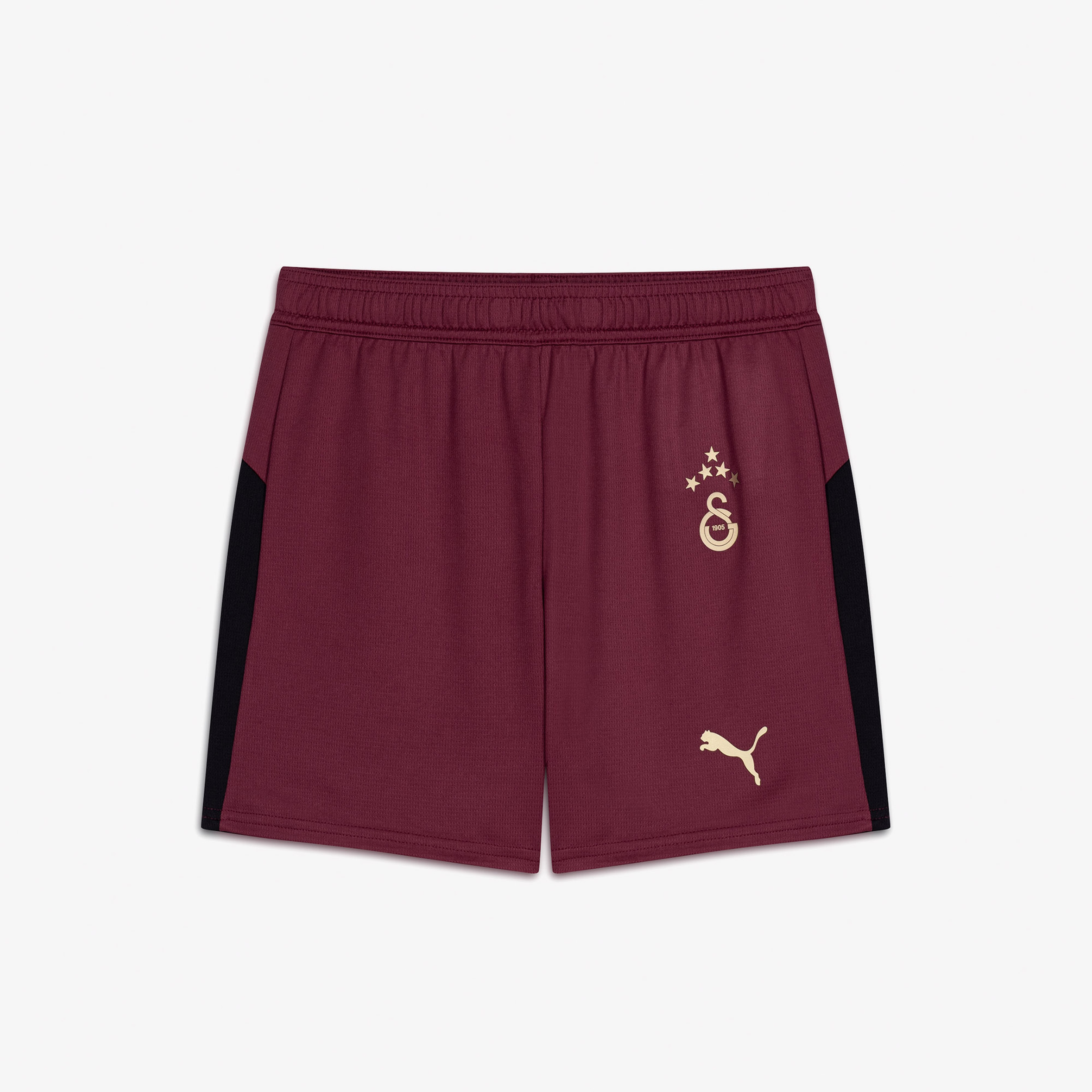 Puma Galatasaray SK Erkek Kırmızı Futbol Şortu
