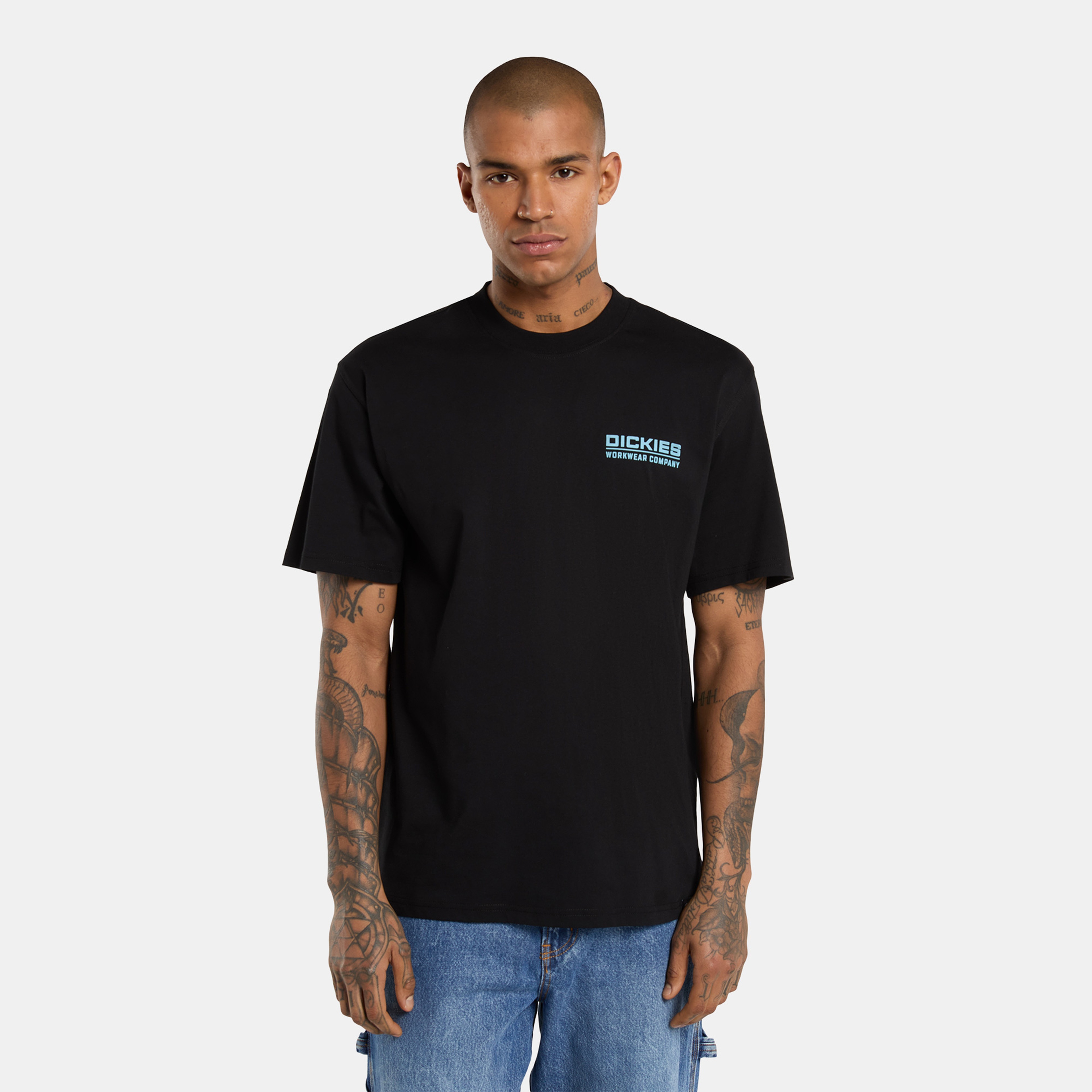 Dickies Bolivar Erkek Siyah T-Shirt