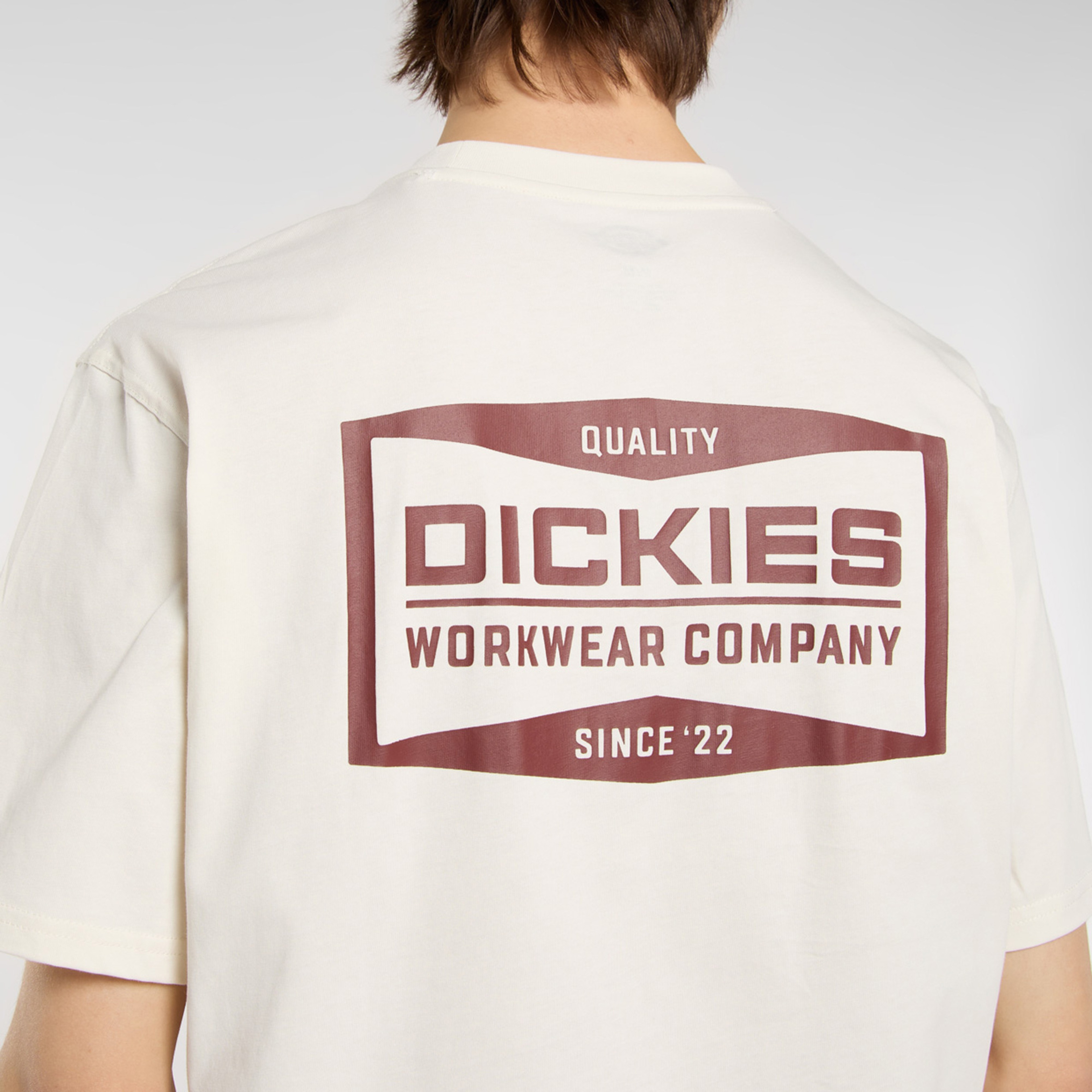 Dickies Bolivar Erkek Beyaz T-Shirt