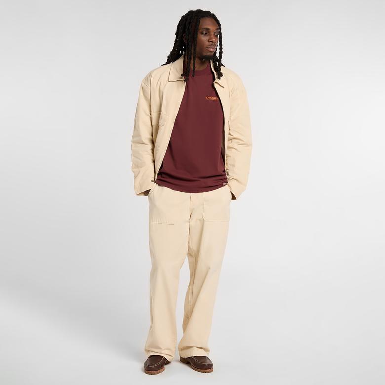 Dickies Bolivar Erkek Siyah T-Shirt