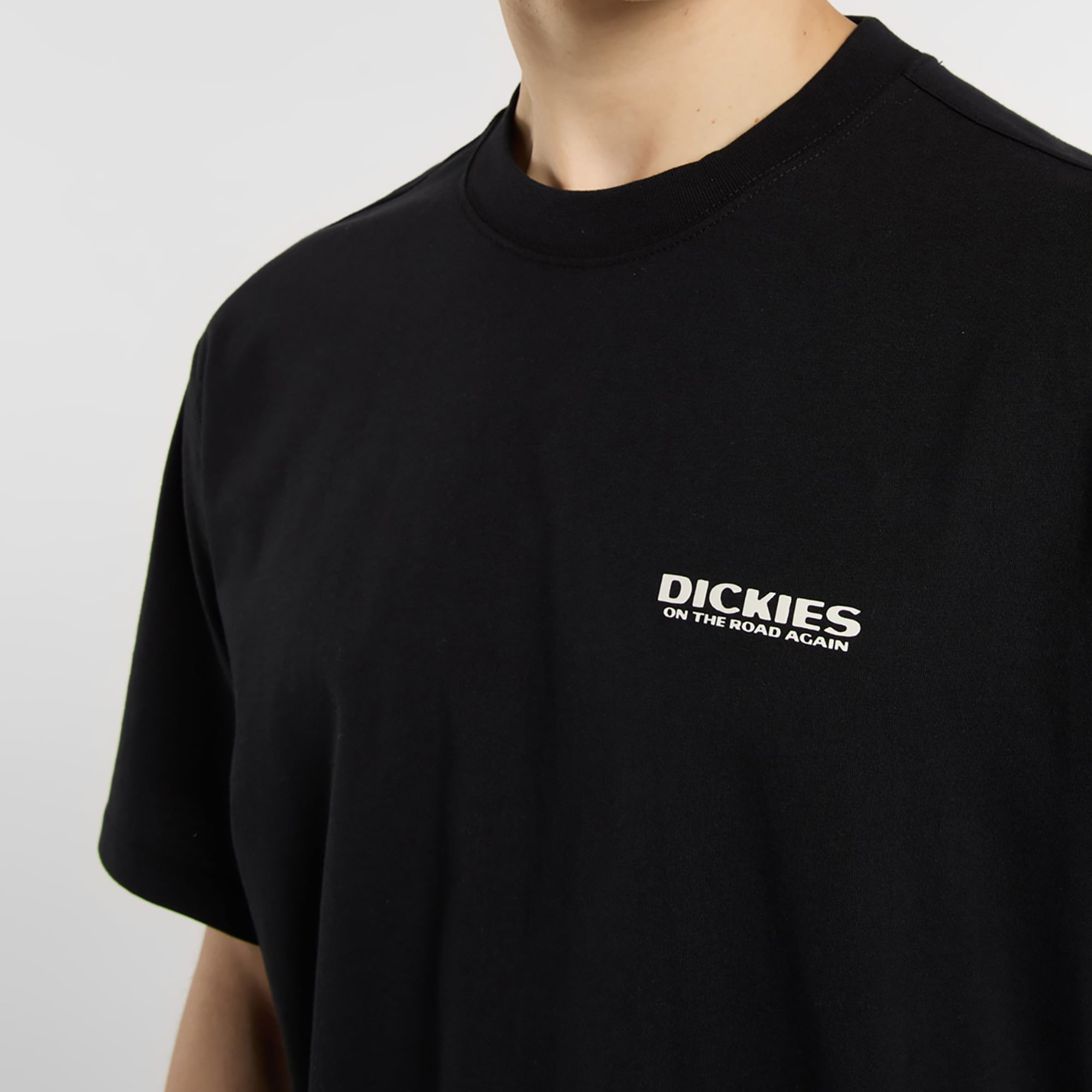 Dickies Burns Erkek Siyah T-Shirt