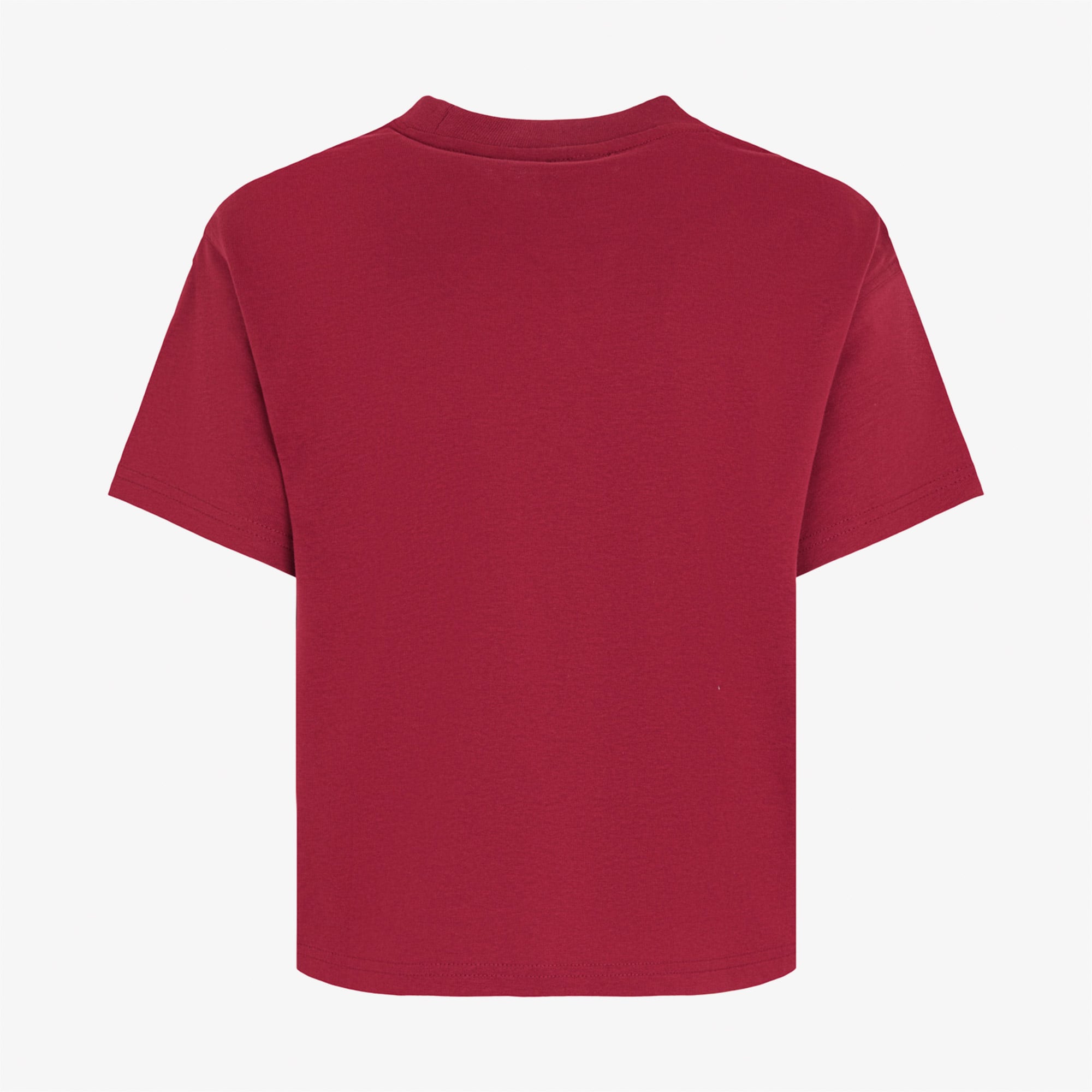 Dickies Oakport Kadın Kırmızı T-Shirt