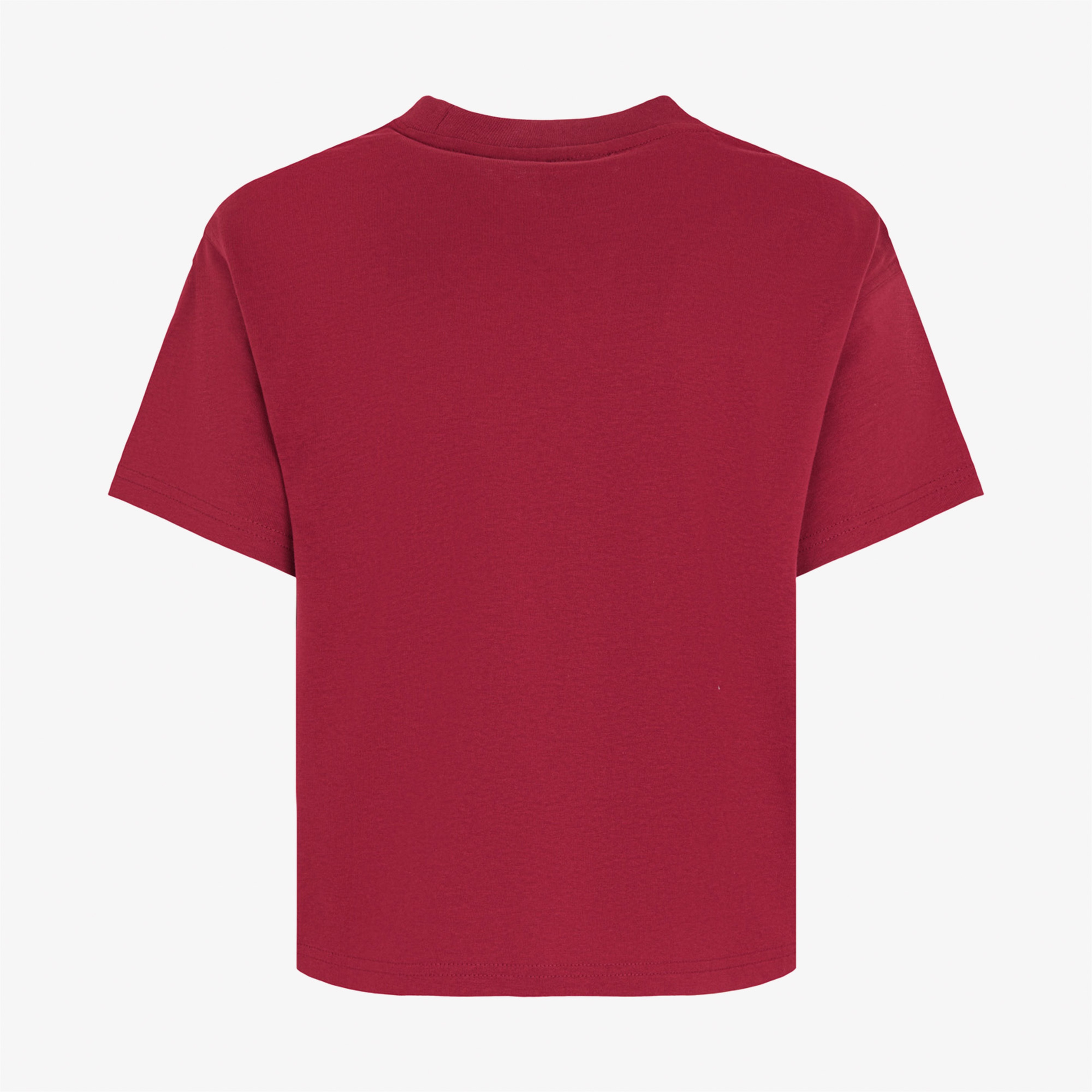 Dickies Oakport Kadın Kırmızı T-Shirt