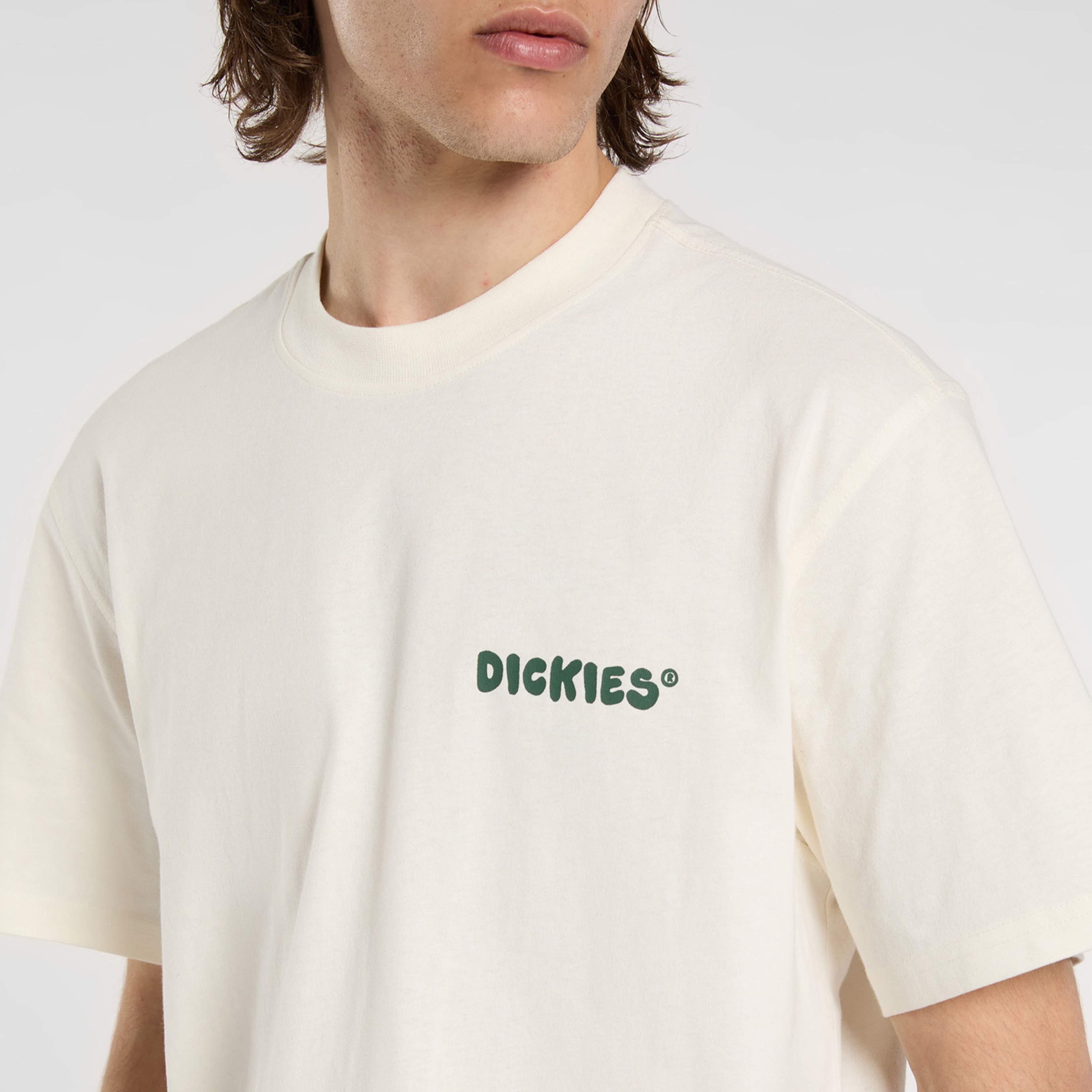 Dickies Gordonville Mid Weight Erkek Beyaz T-Shirt