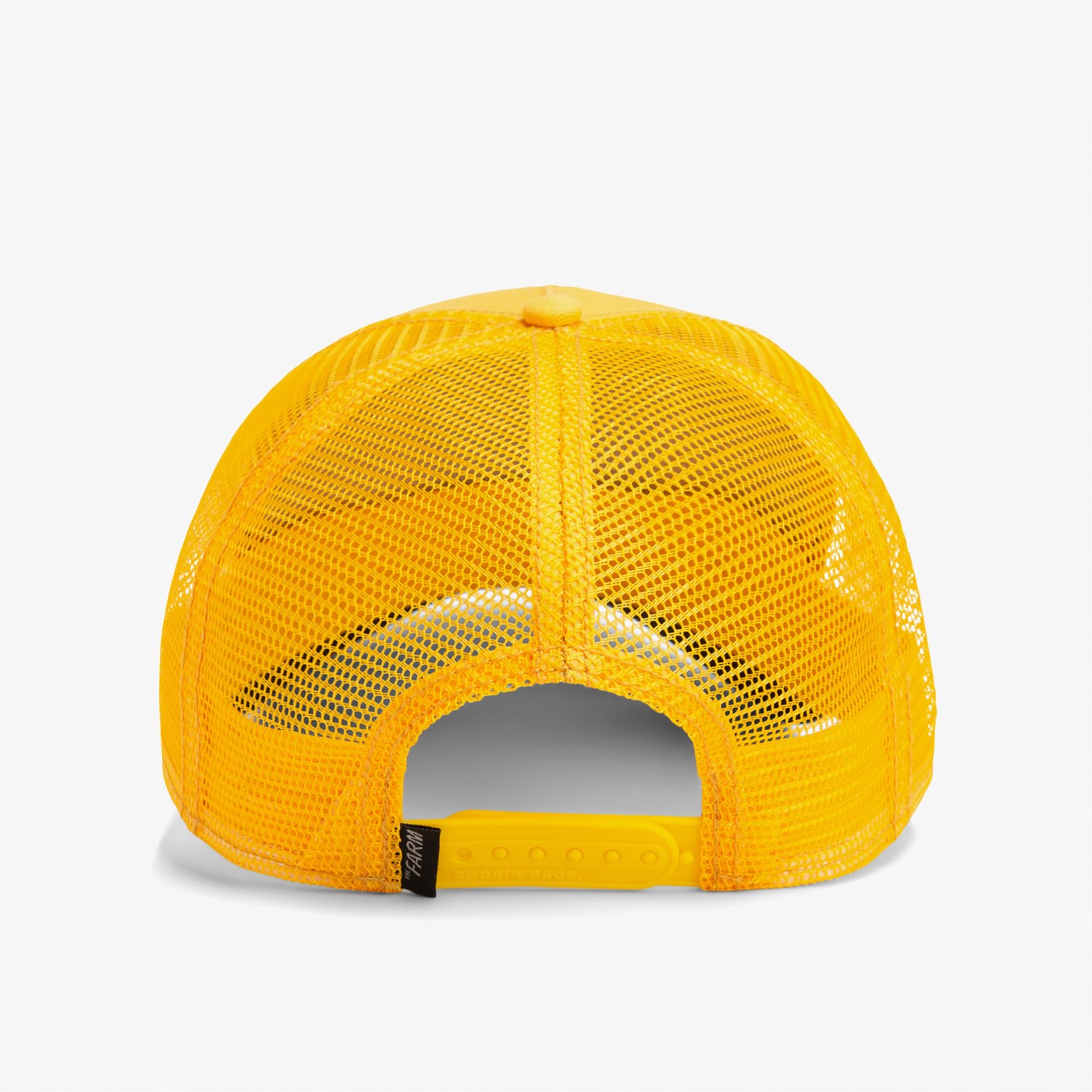 product_detail_image