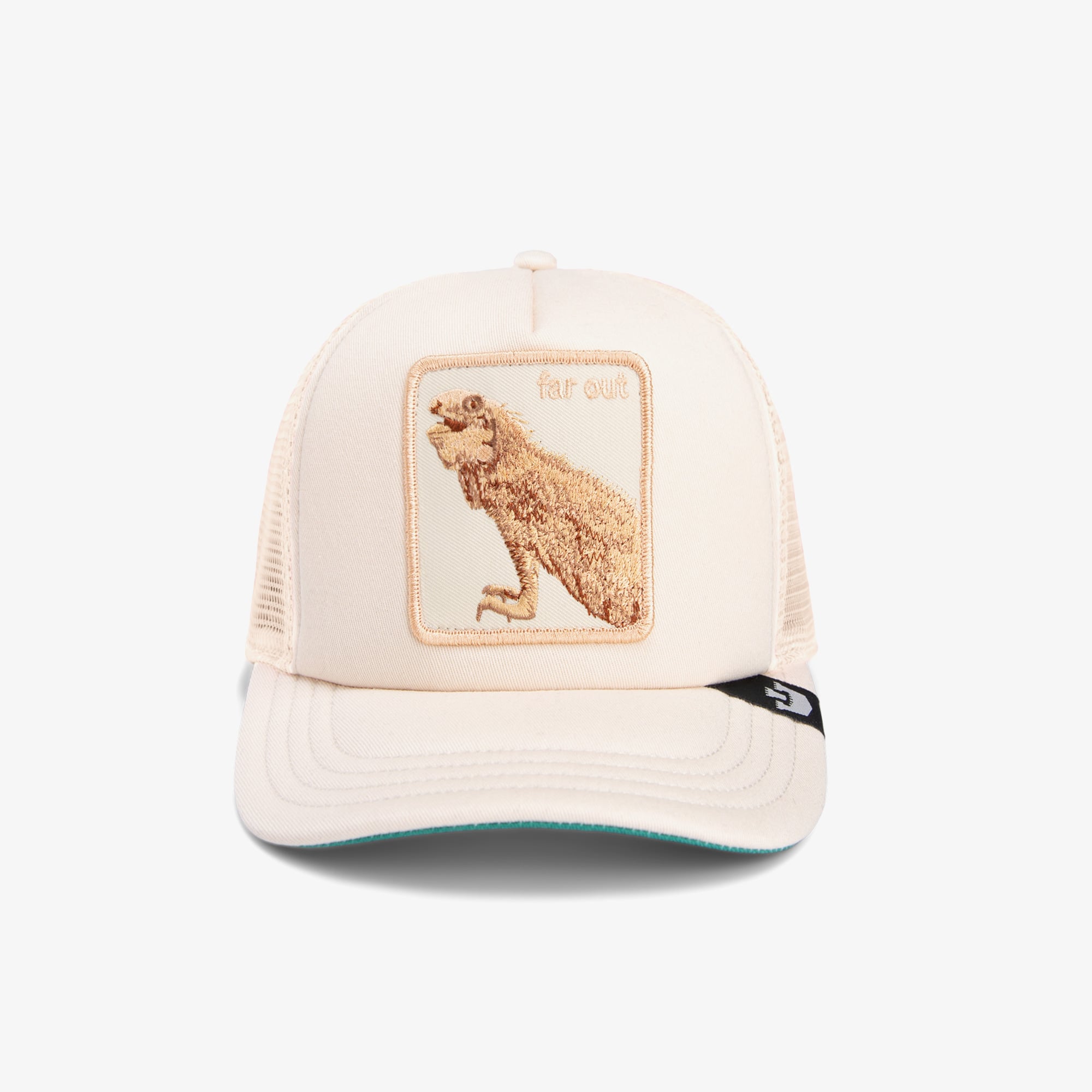 product_detail_image