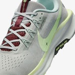 Nike Pegasus Trail 5 Erkek Gri Koşu Ayakkabısı