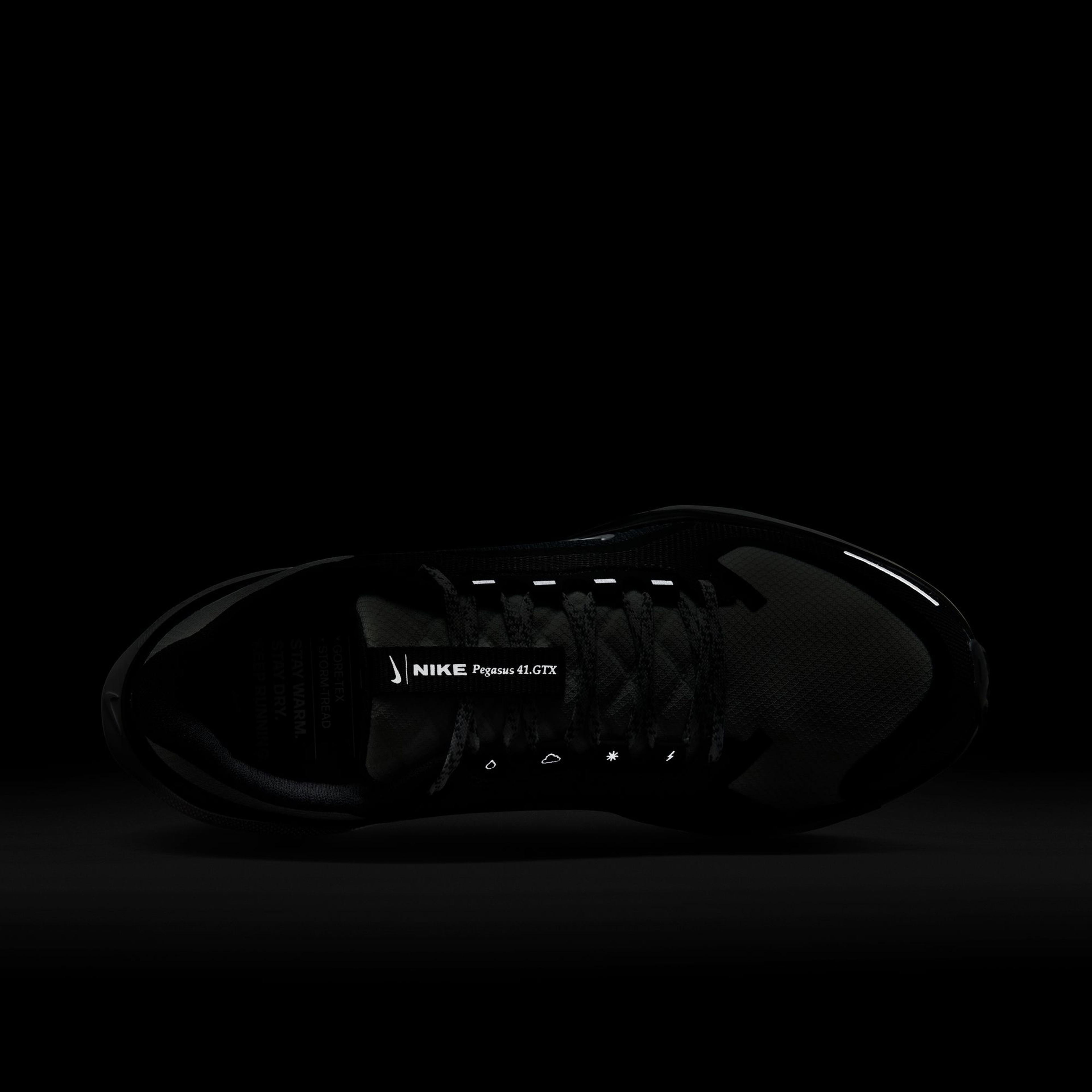 Nike Pegasus 41 Gore-Tex Kadın Siyah Koşu Ayakkabısı