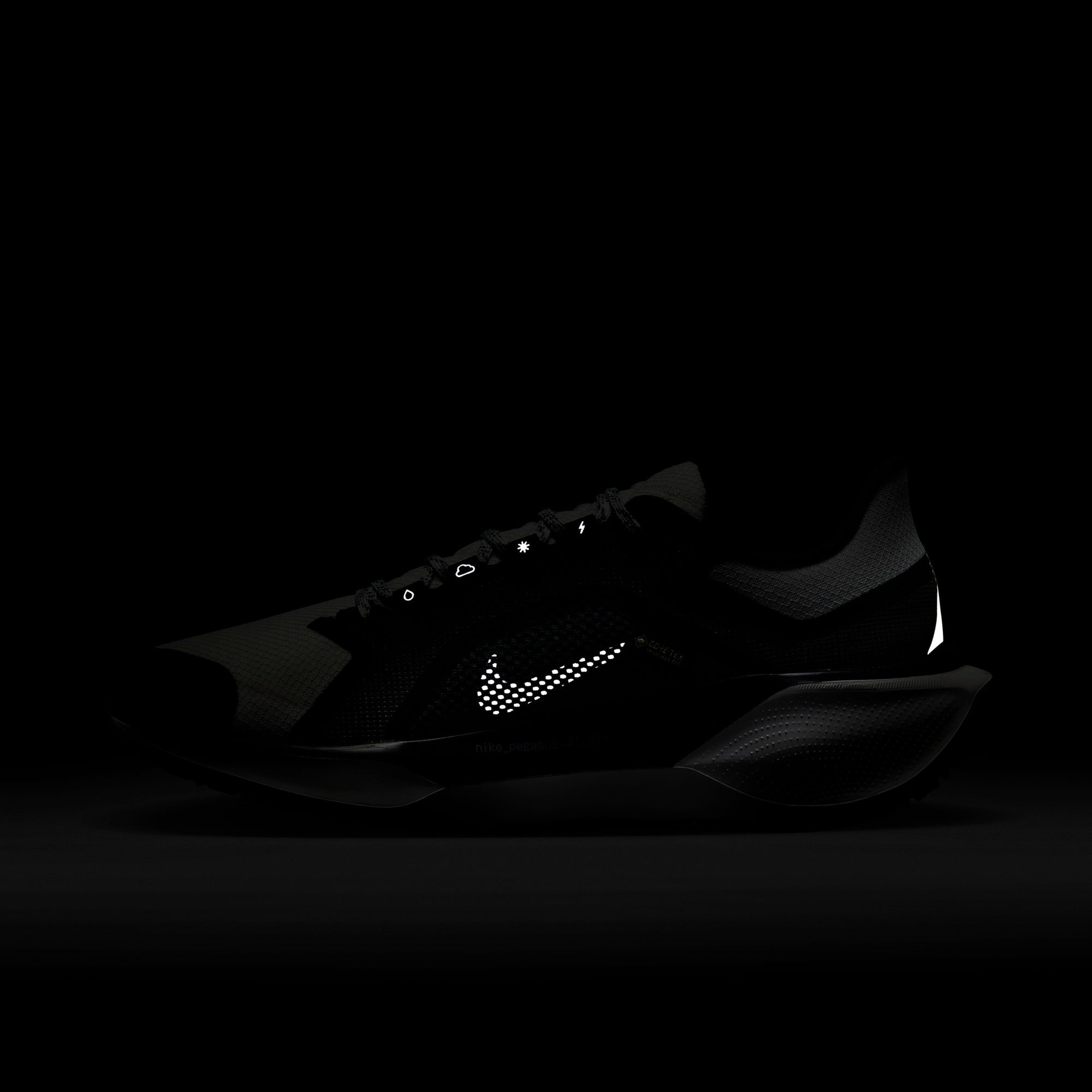 Nike Pegasus 41 Gore-Tex Kadın Siyah Koşu Ayakkabısı