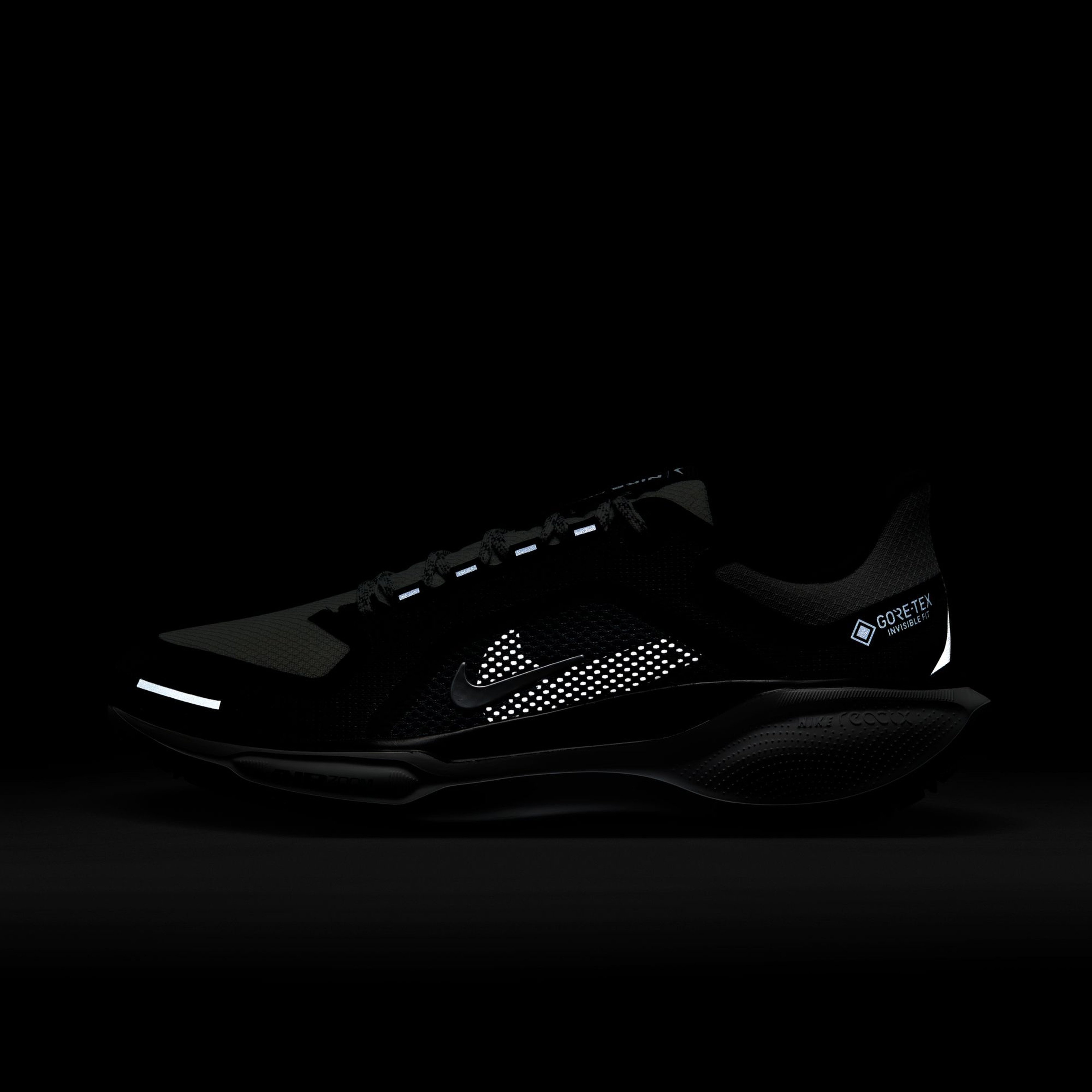 Nike Pegasus 41 Gore-Tex Kadın Siyah Koşu Ayakkabısı