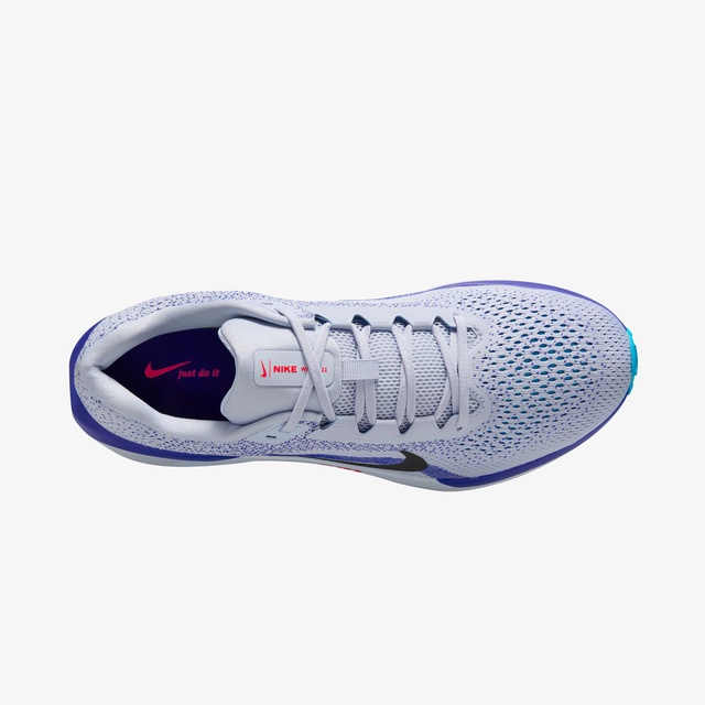 Nike Mor Nike Air Winflo 11 Erkek Koşu Ayakkabısı