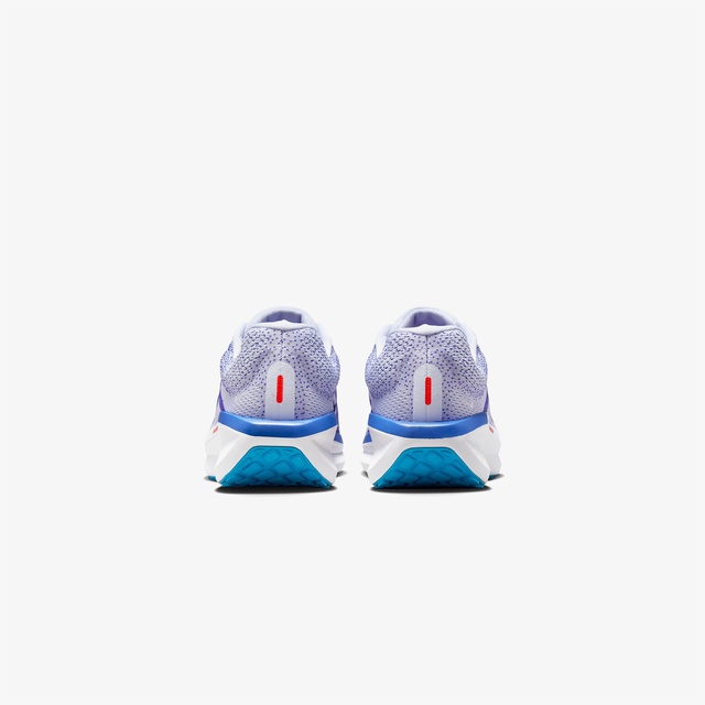 Nike Mor Nike Air Winflo 11 Erkek Koşu Ayakkabısı