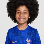 Nike Fff Academy Pro Çocuk Mavi T-Shirt