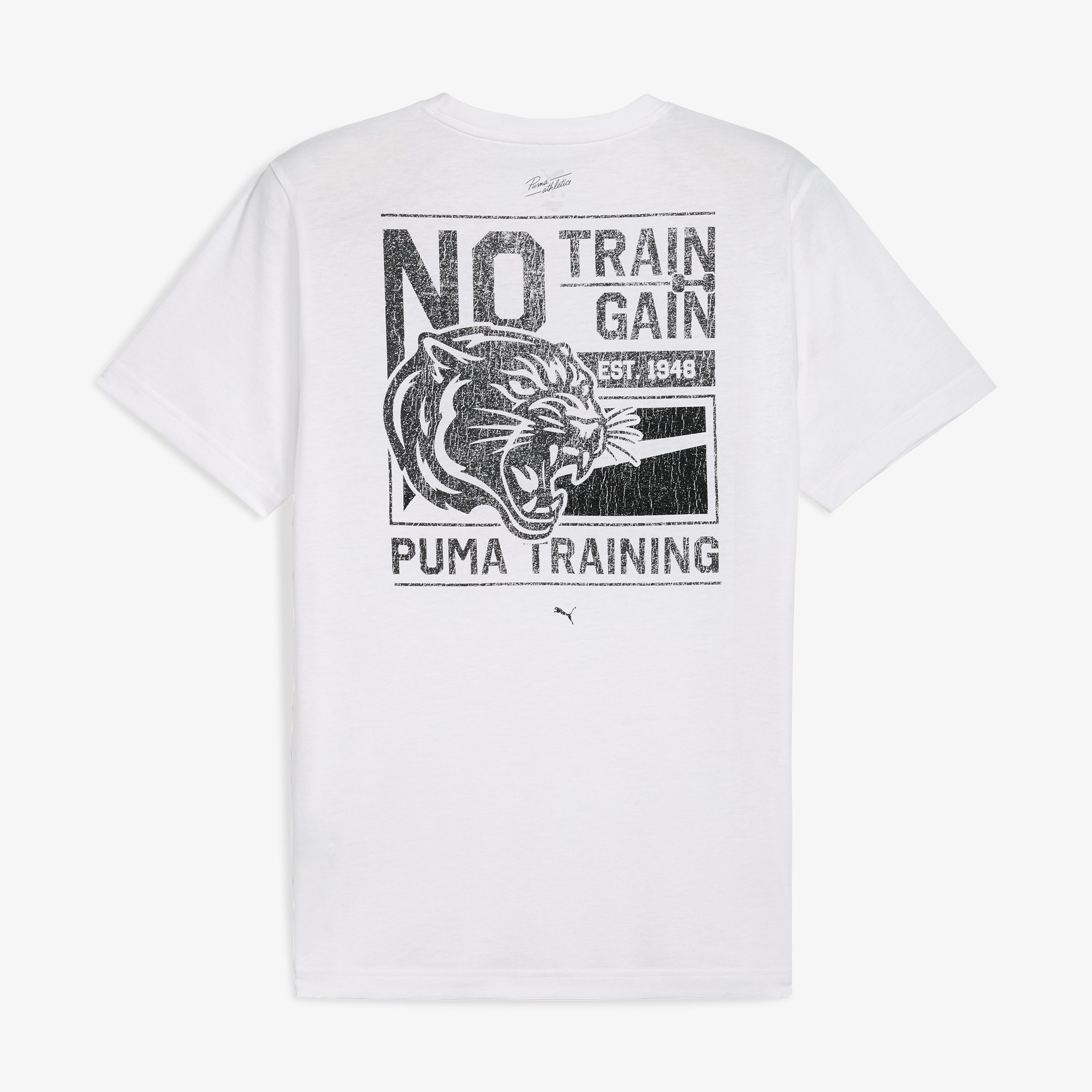 Puma Graphic illustrated Erkek Beyaz Antrenman T-Shirt